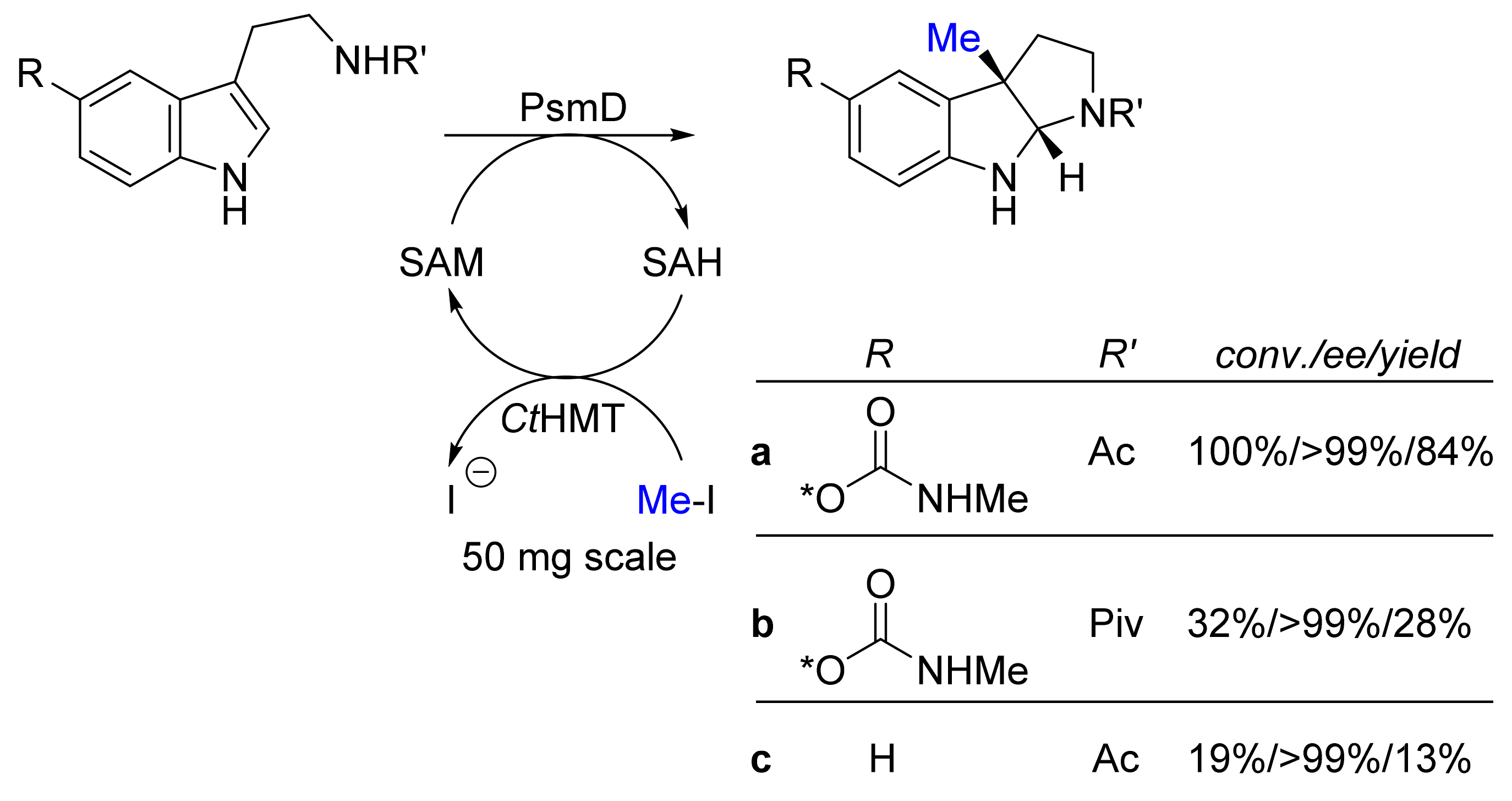 Biomedicines 10 00964 g007