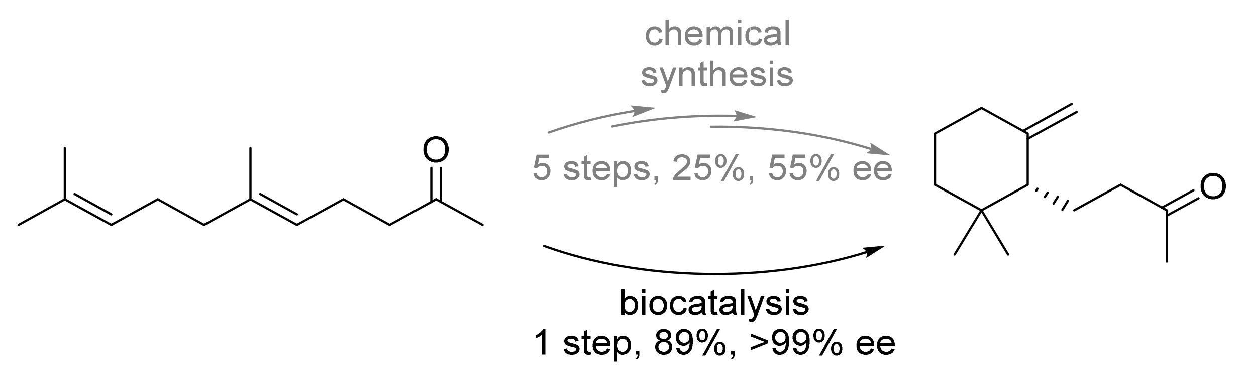 Biomedicines 10 00964 g008