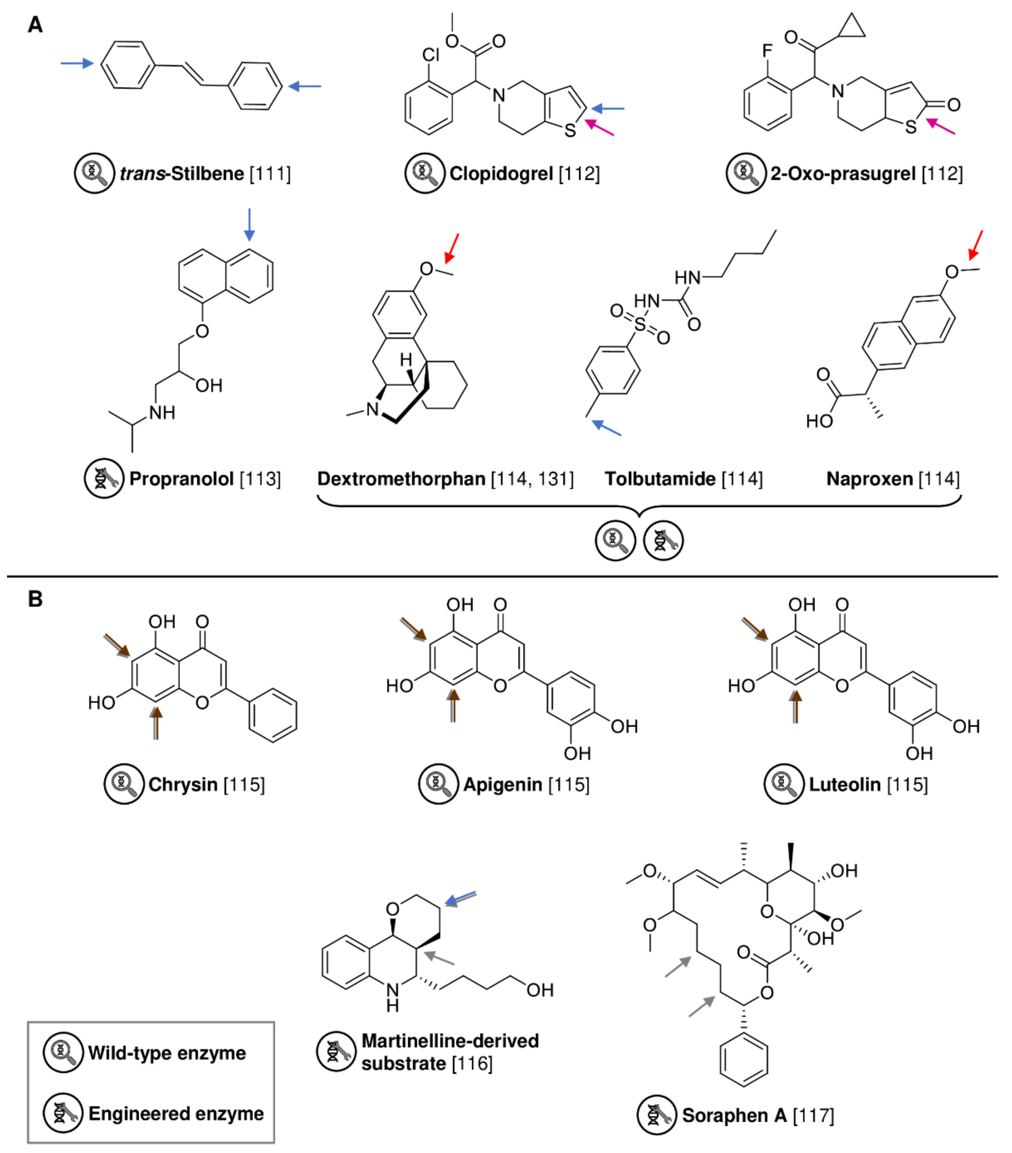 Biomedicines 10 00964 g012