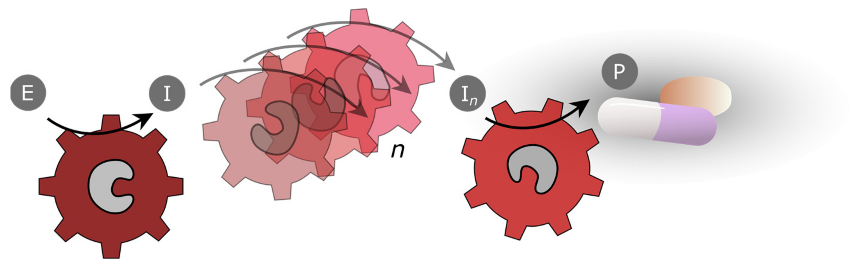 Biomedicines 10 00964 g013