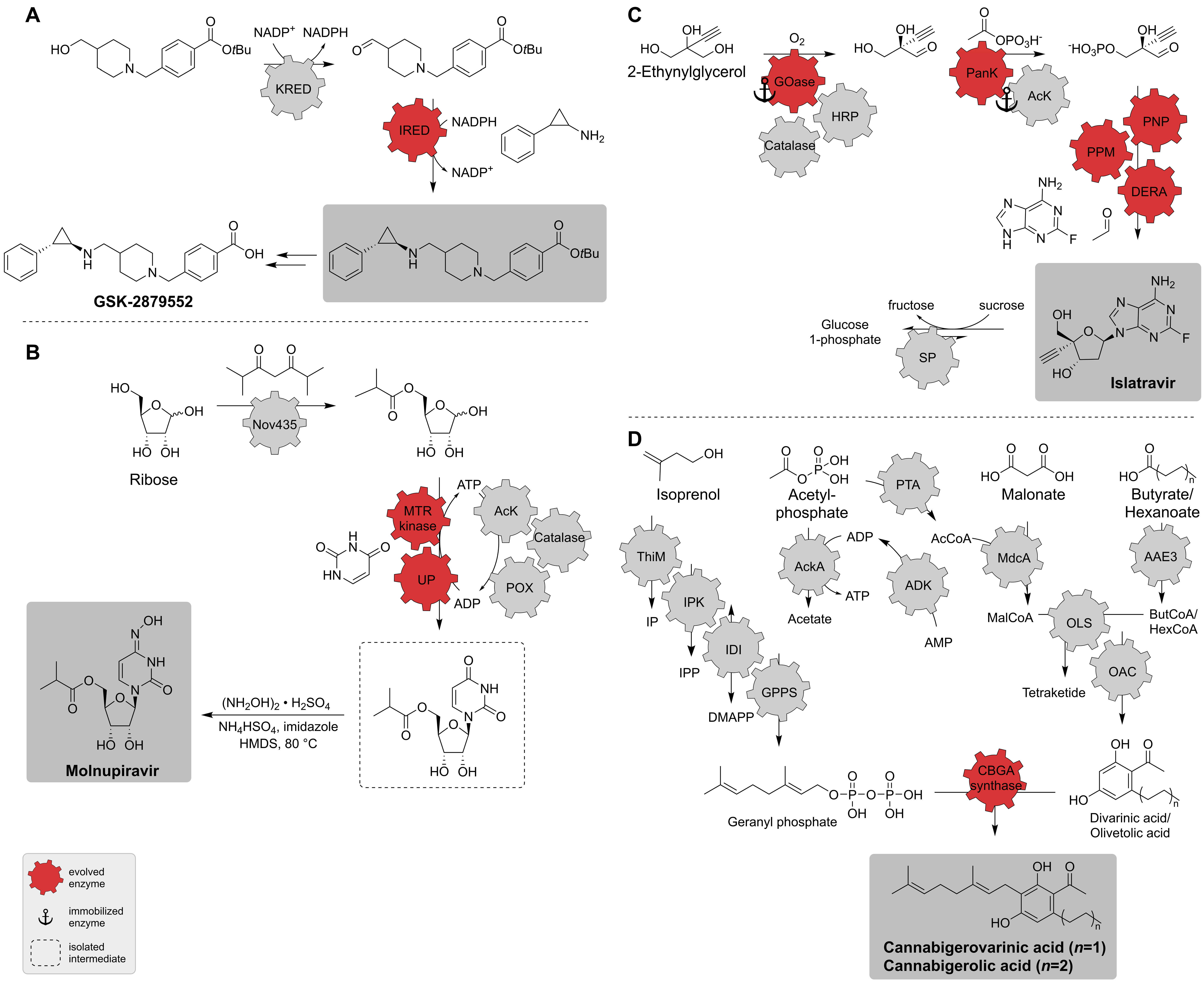Biomedicines 10 00964 g014