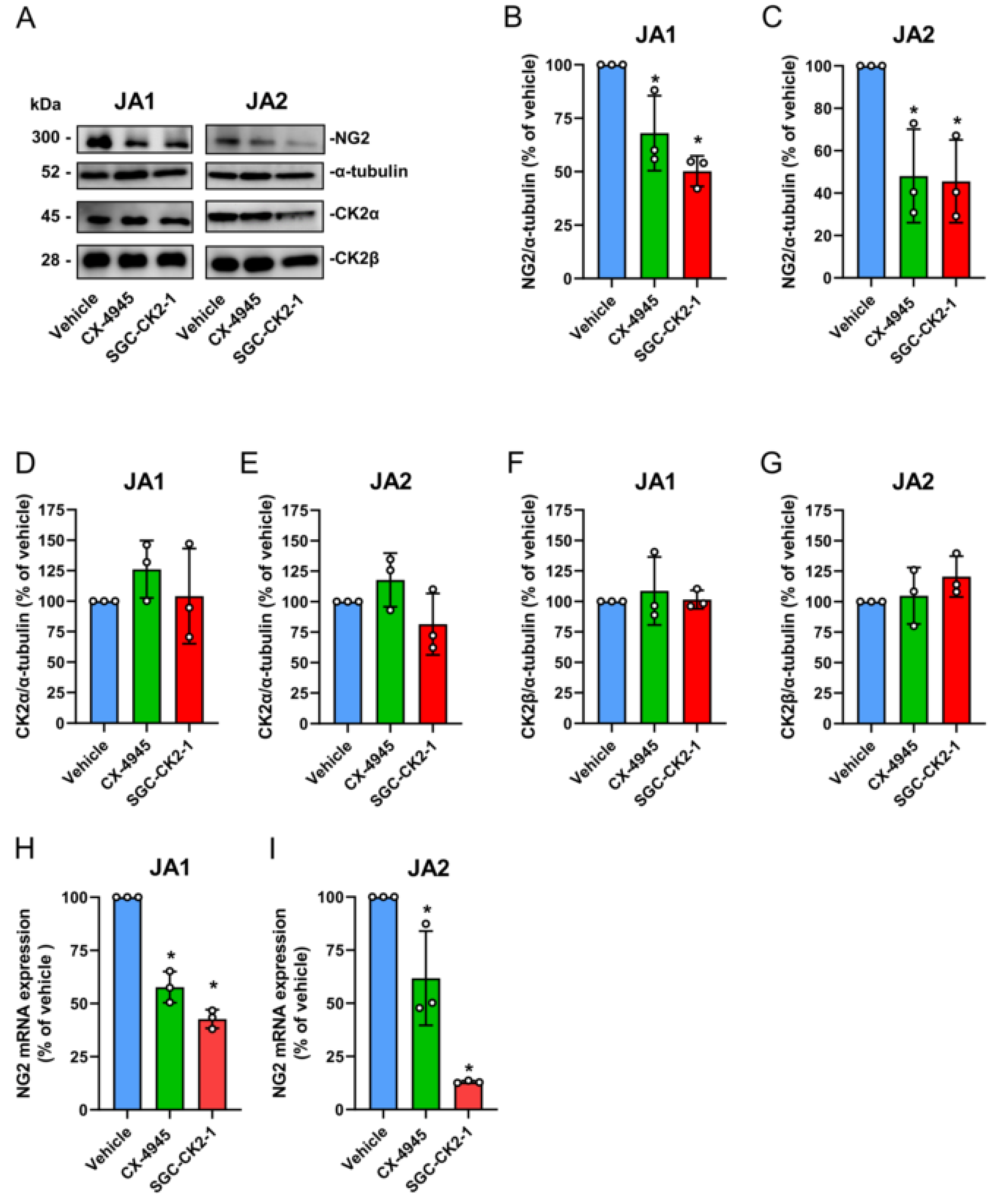 Biomedicines 10 00966 g004