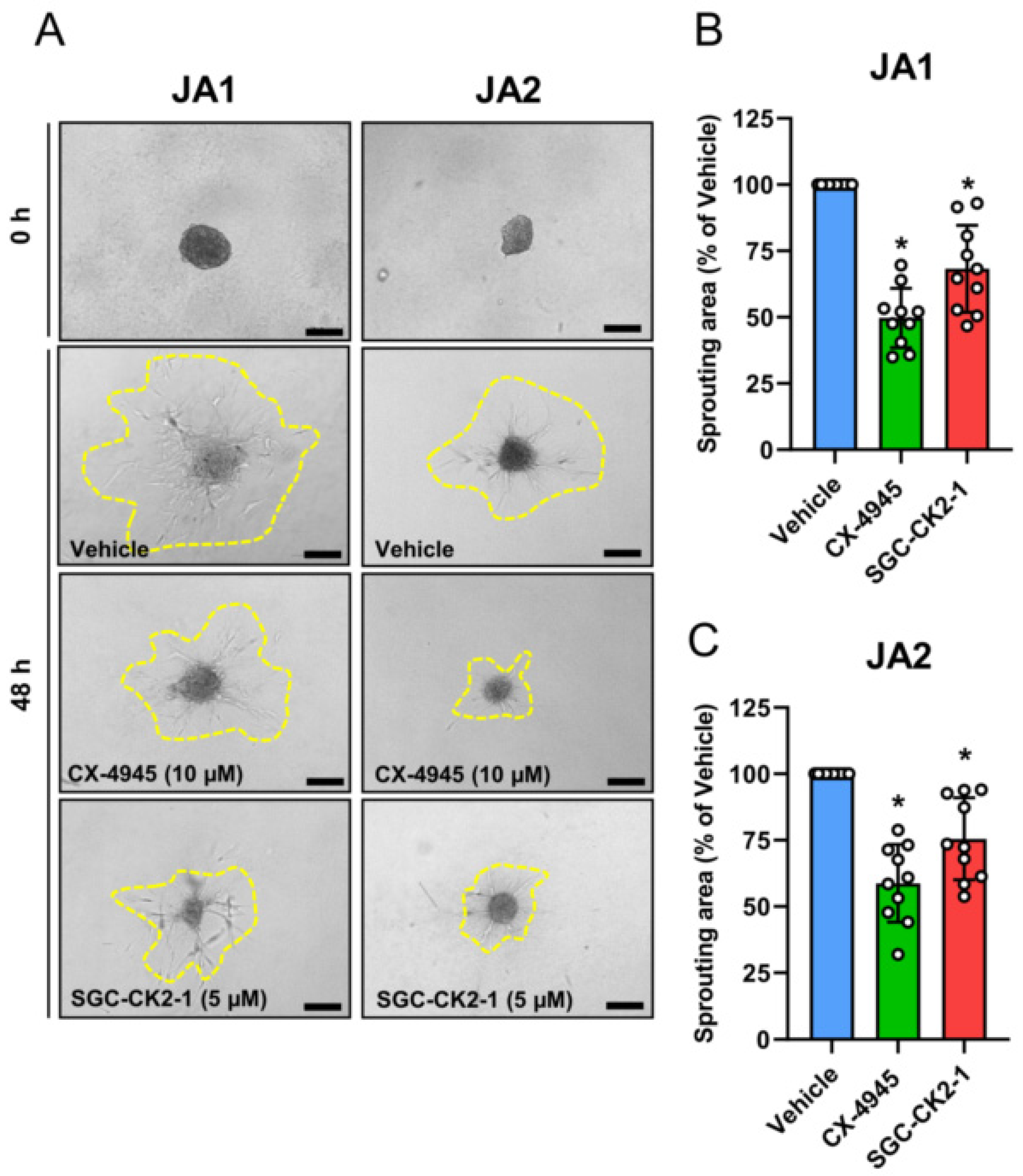 Biomedicines 10 00966 g005