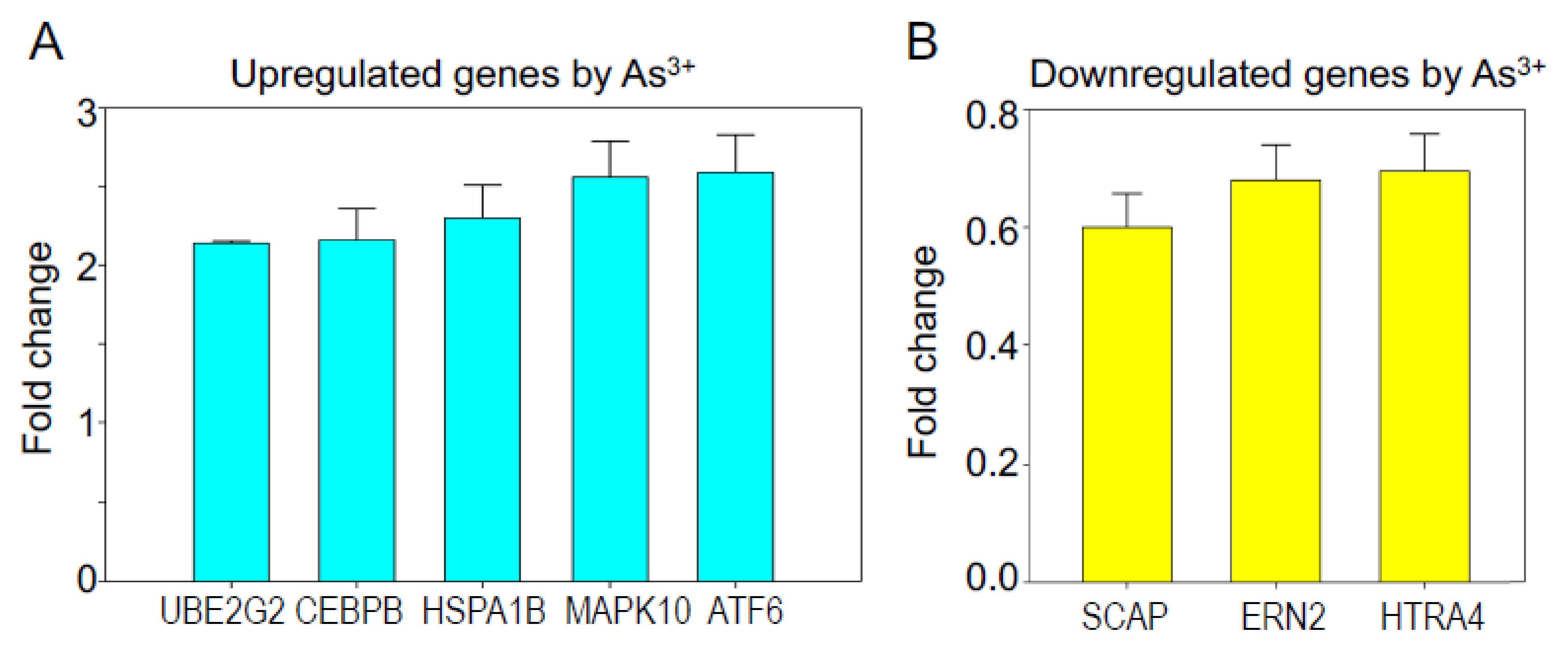 Biomedicines 10 00967 g001 550