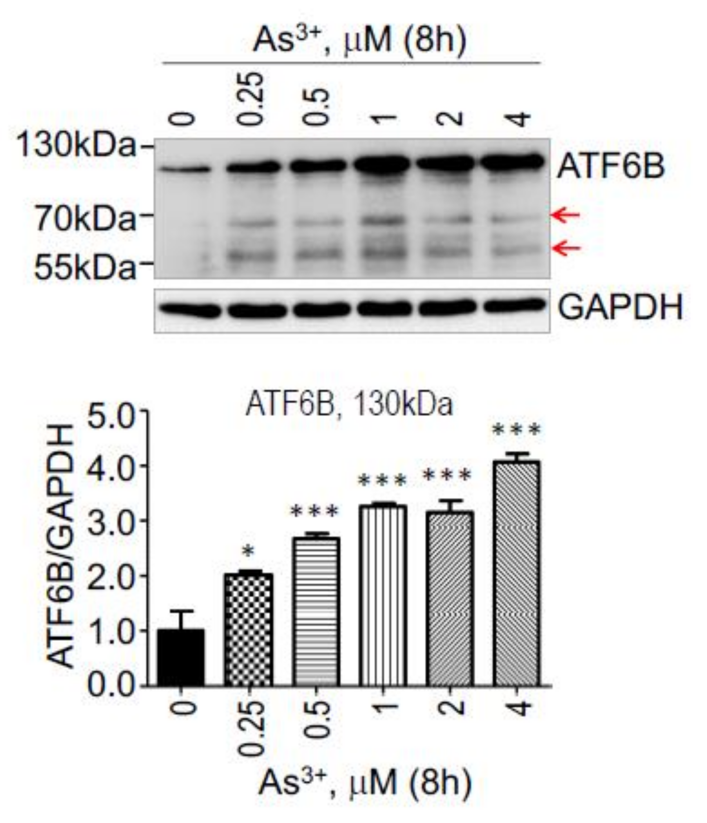 Biomedicines 10 00967 g003 550