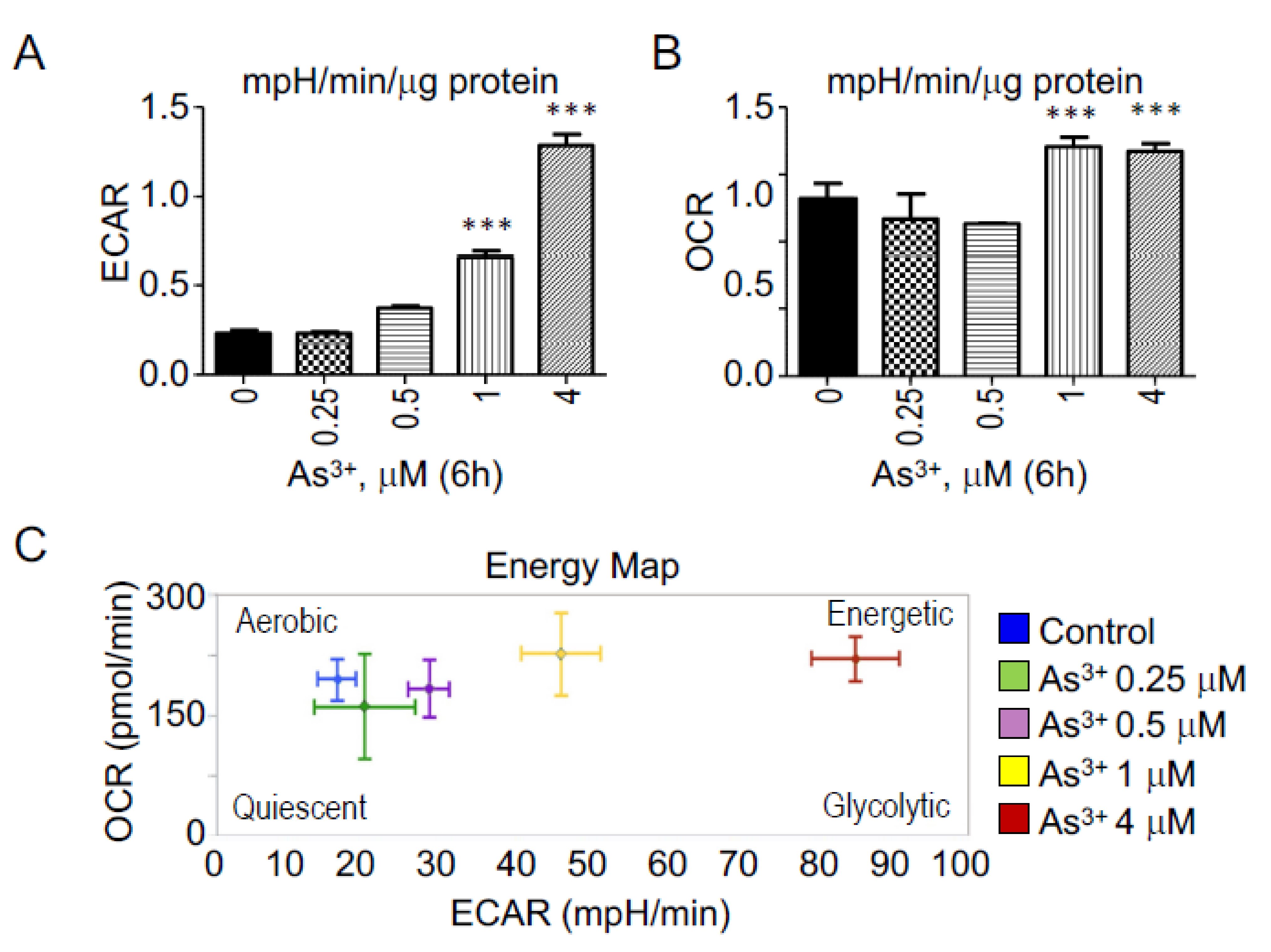 Biomedicines 10 00967 g006 550