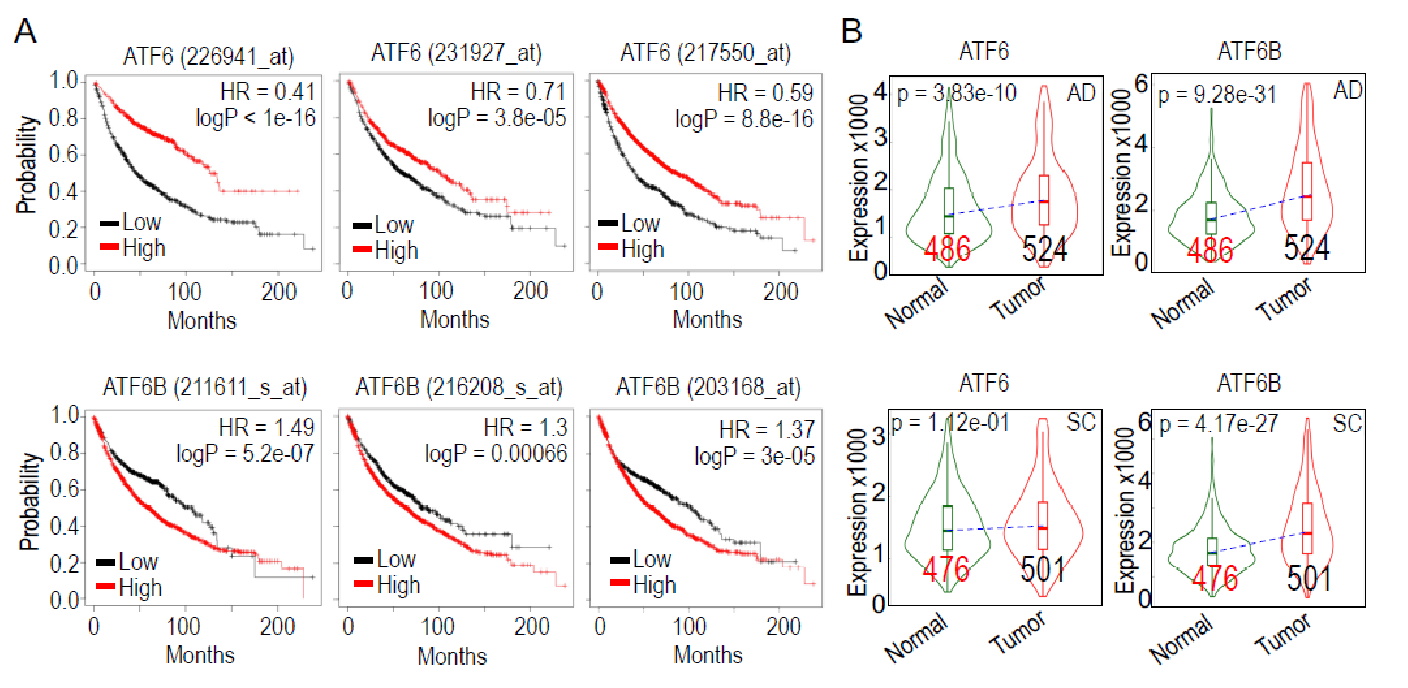 Biomedicines 10 00967 g007 550