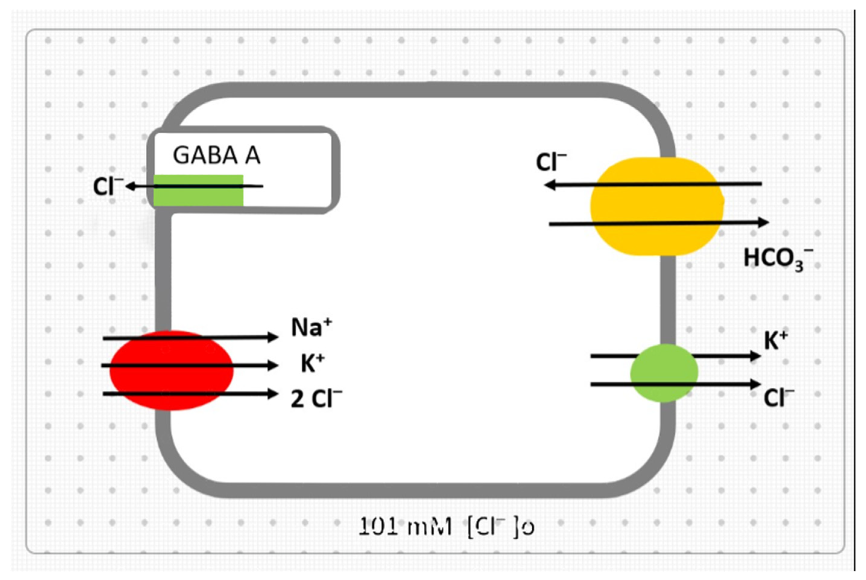 Biomedicines 10 00968 g001 550
