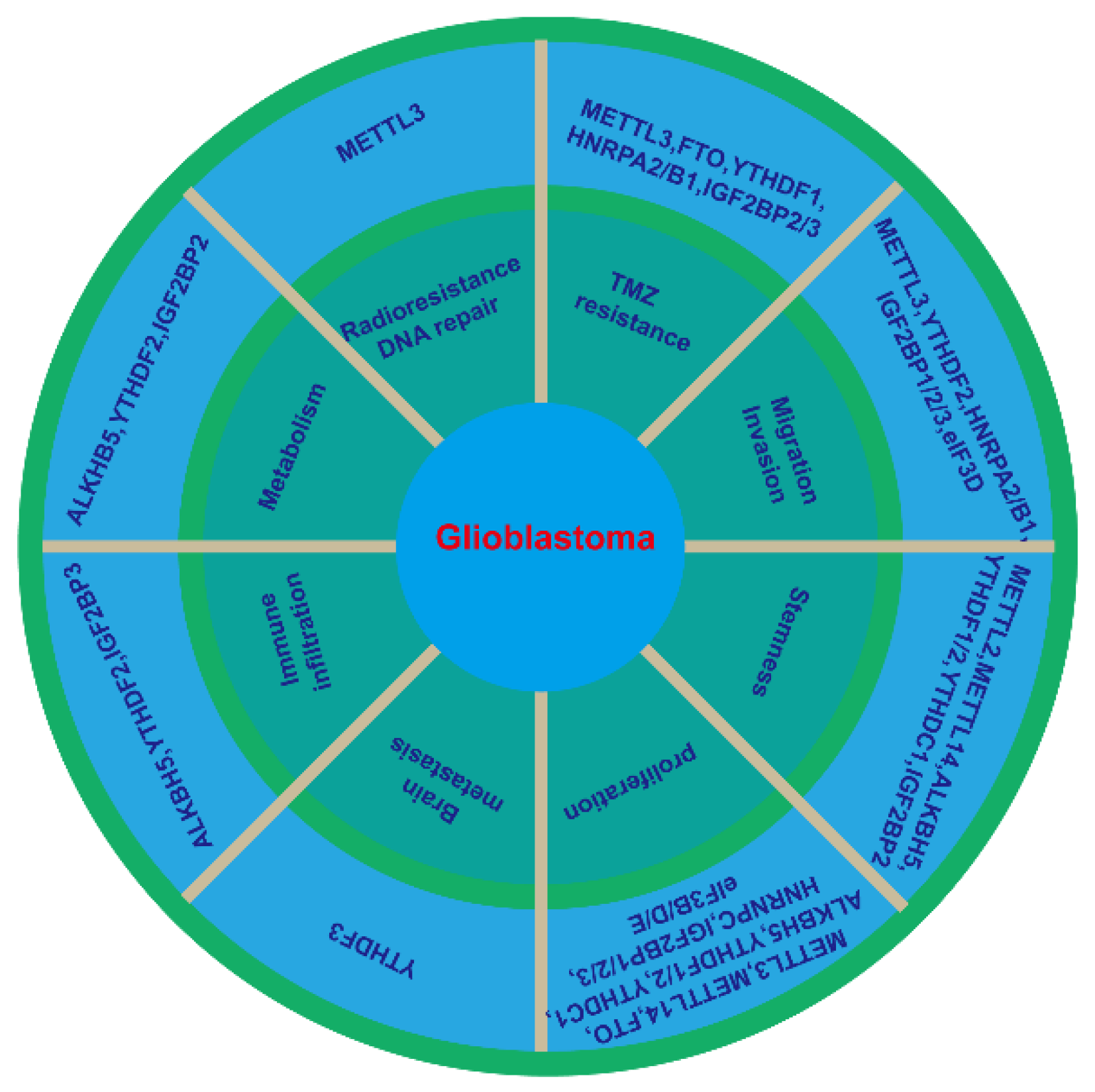 Biomedicines 10 00969 g002