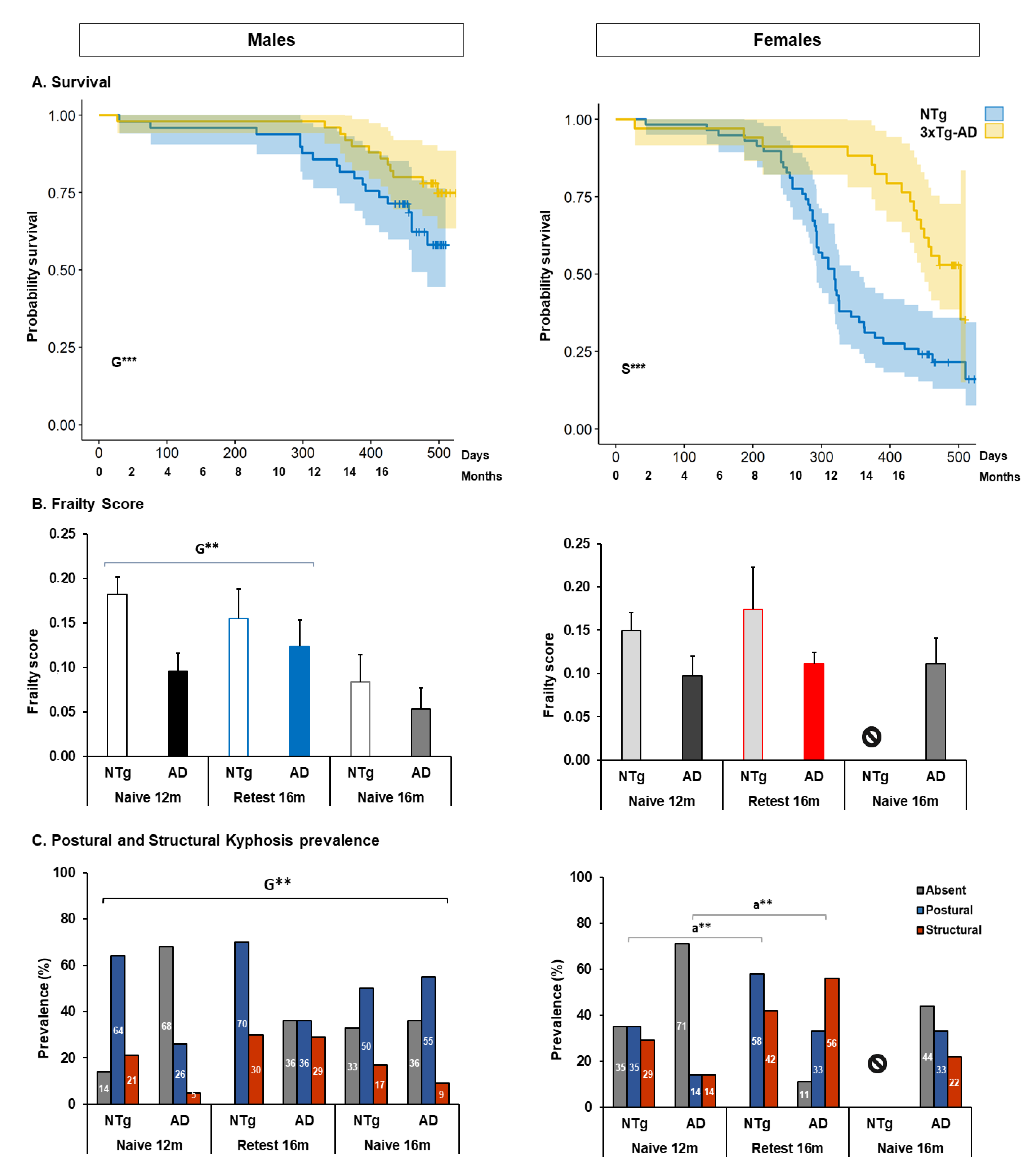 Biomedicines 10 00973 g002 Biomedicines 10 00973 g002