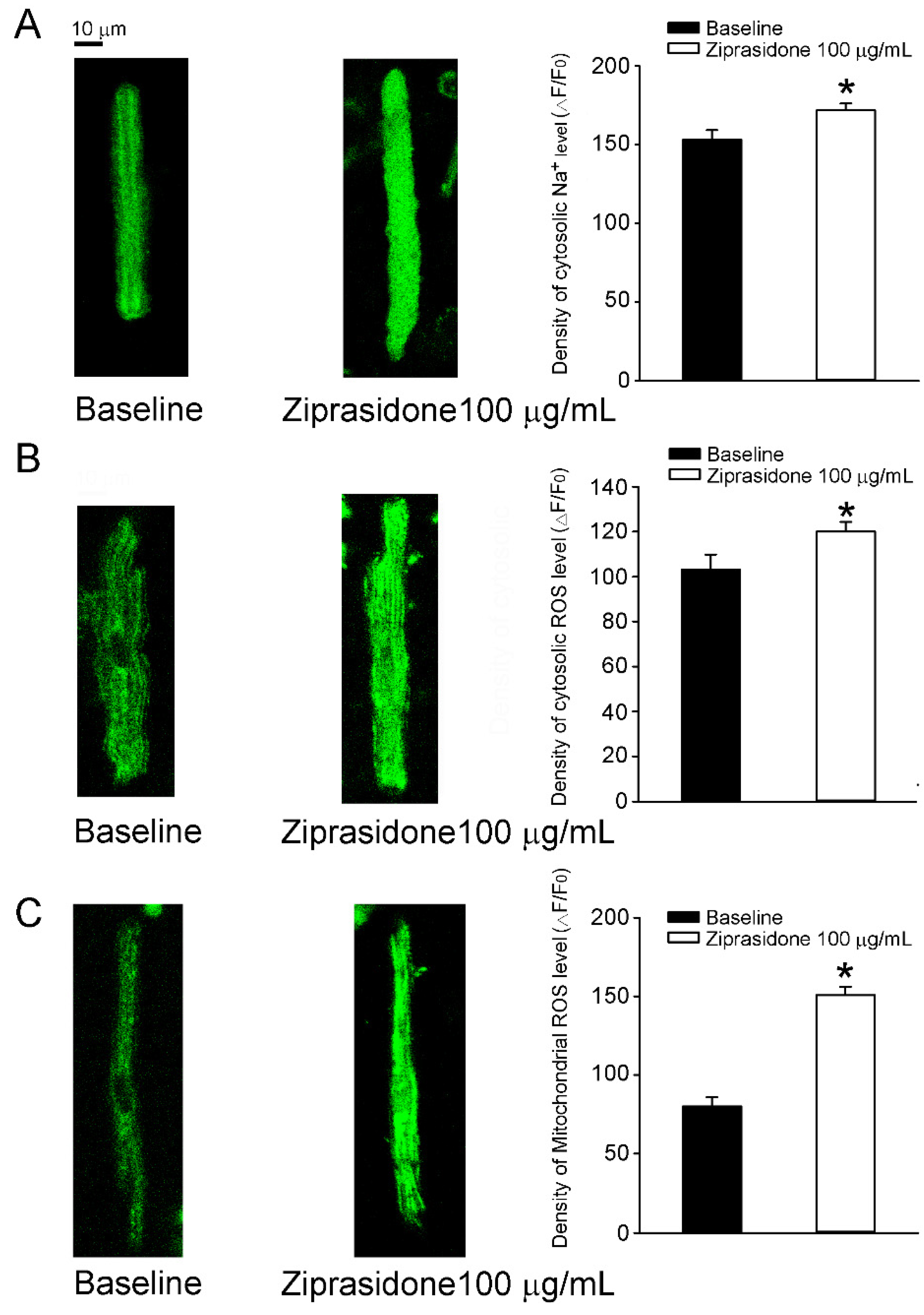 Biomedicines 10 00976 g005