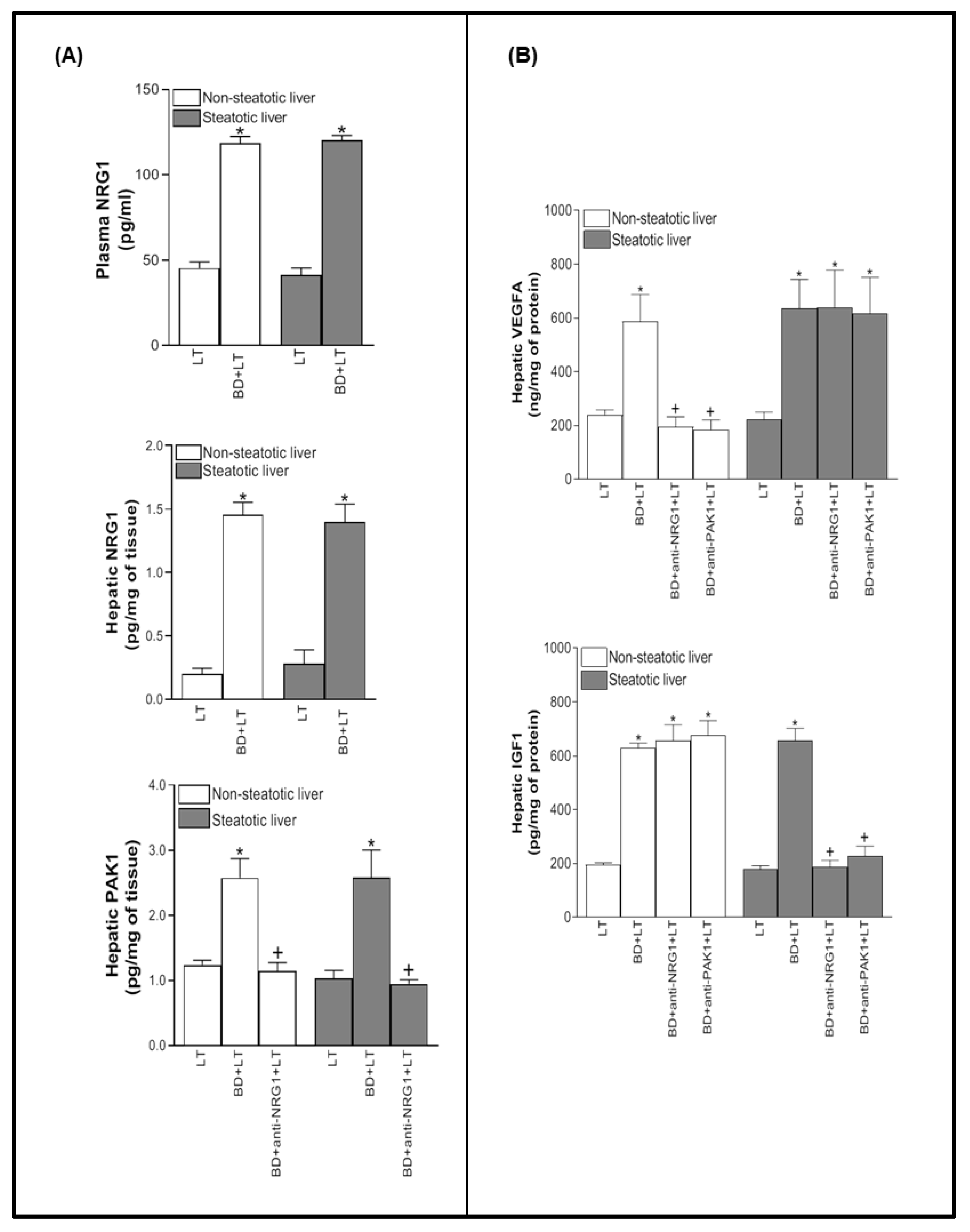 Biomedicines 10 00978 g001