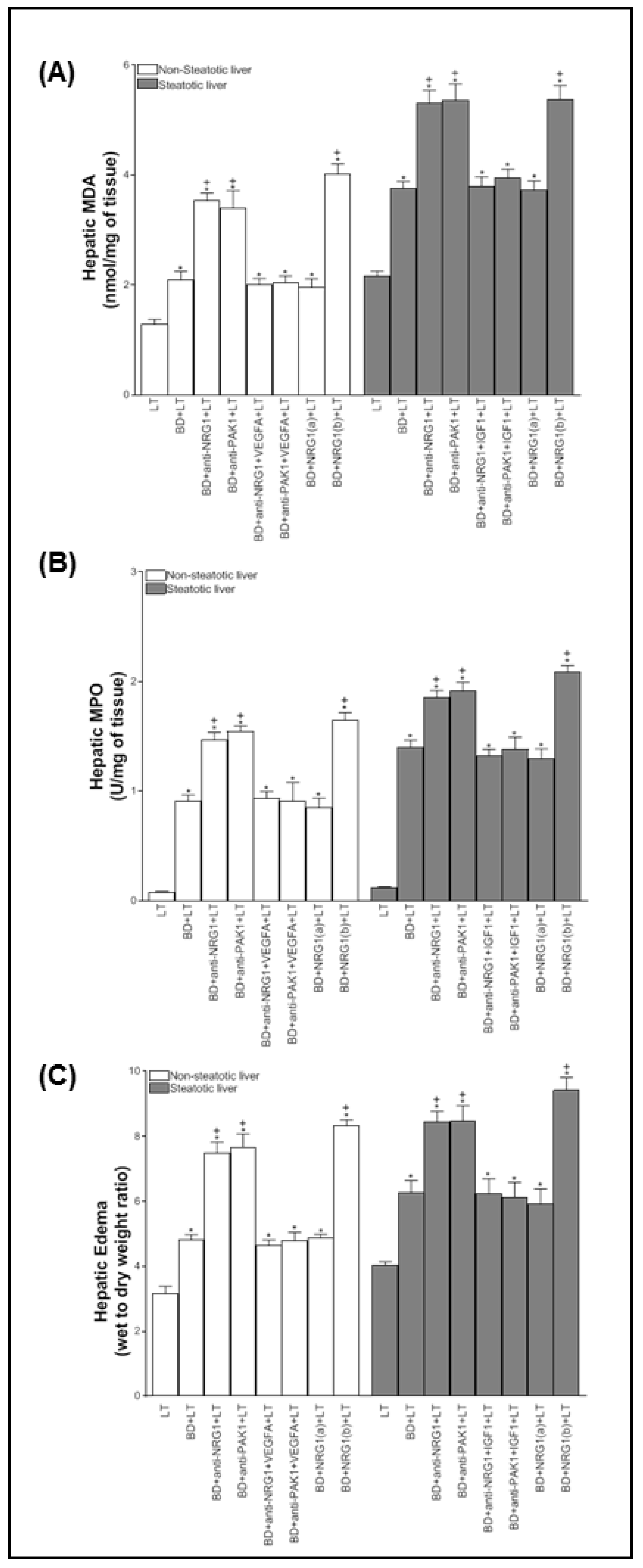 Biomedicines 10 00978 g003