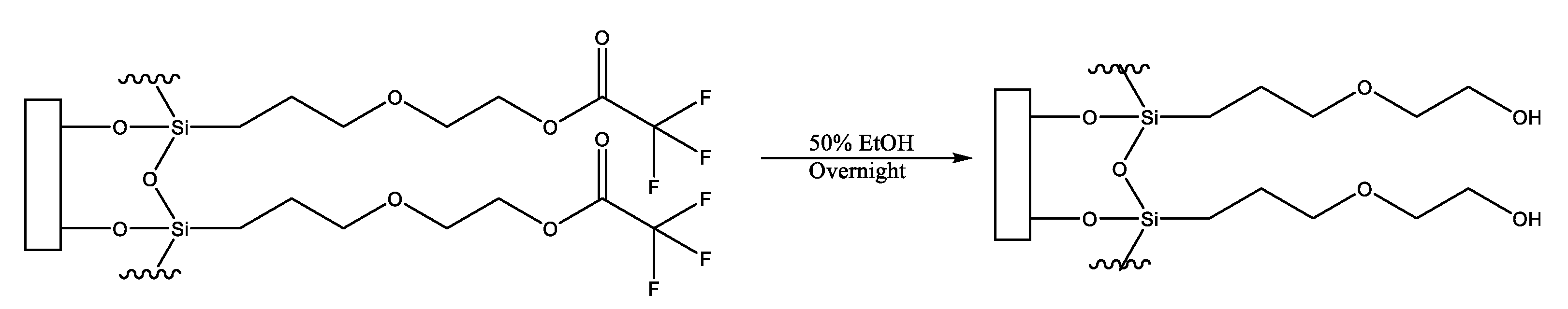 Biomedicines 10 00979 g001