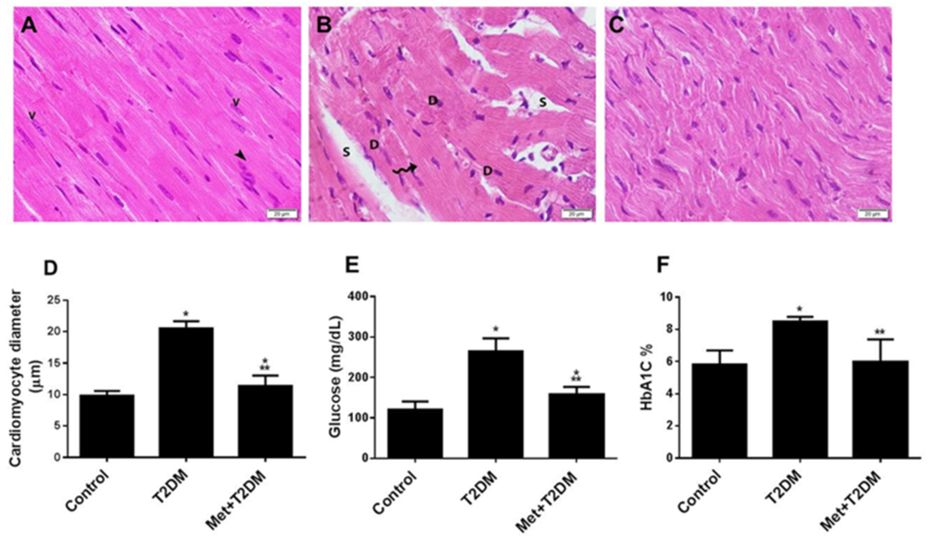 Biomedicines 10 00984 g001