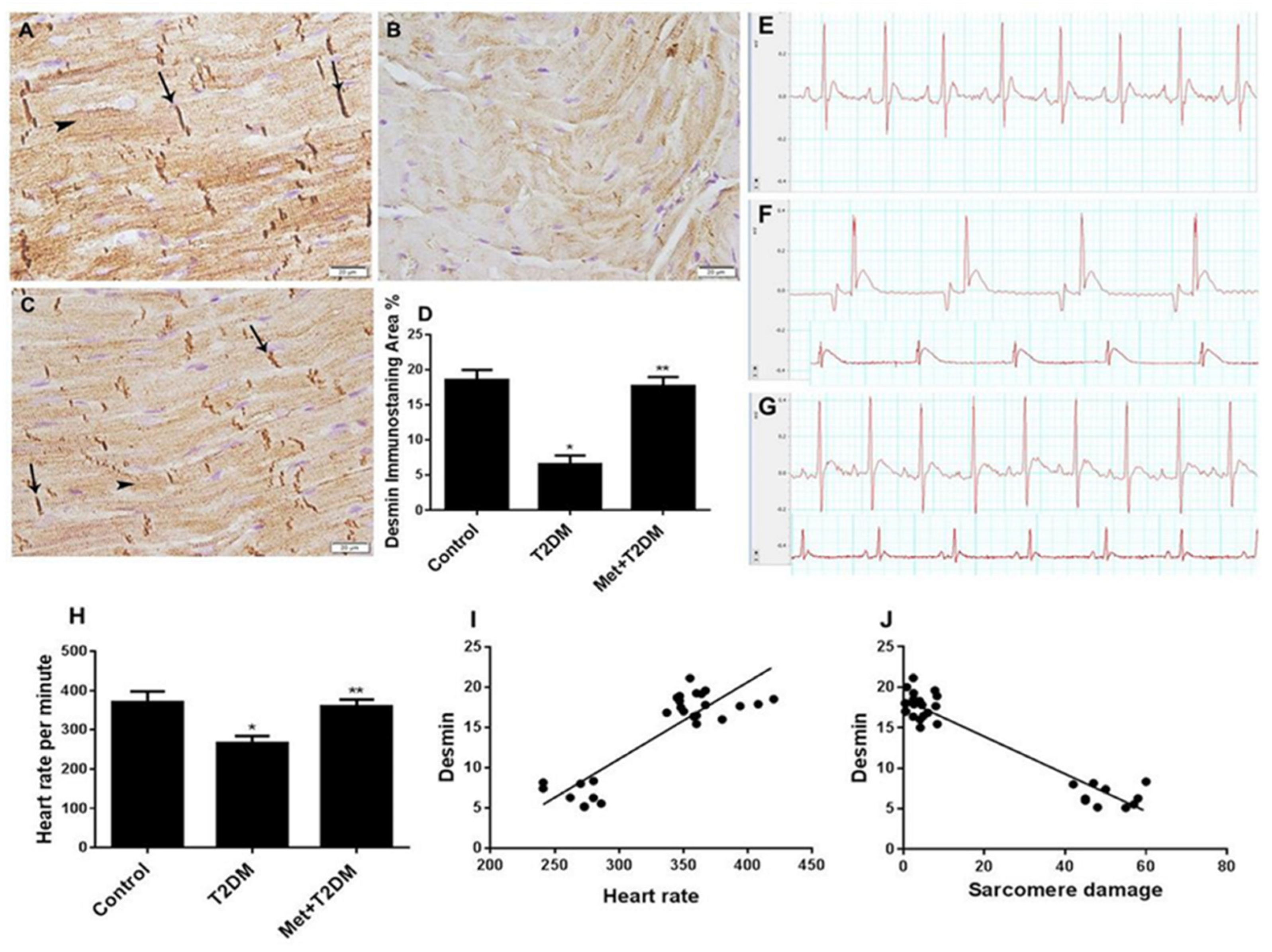 Biomedicines 10 00984 g003