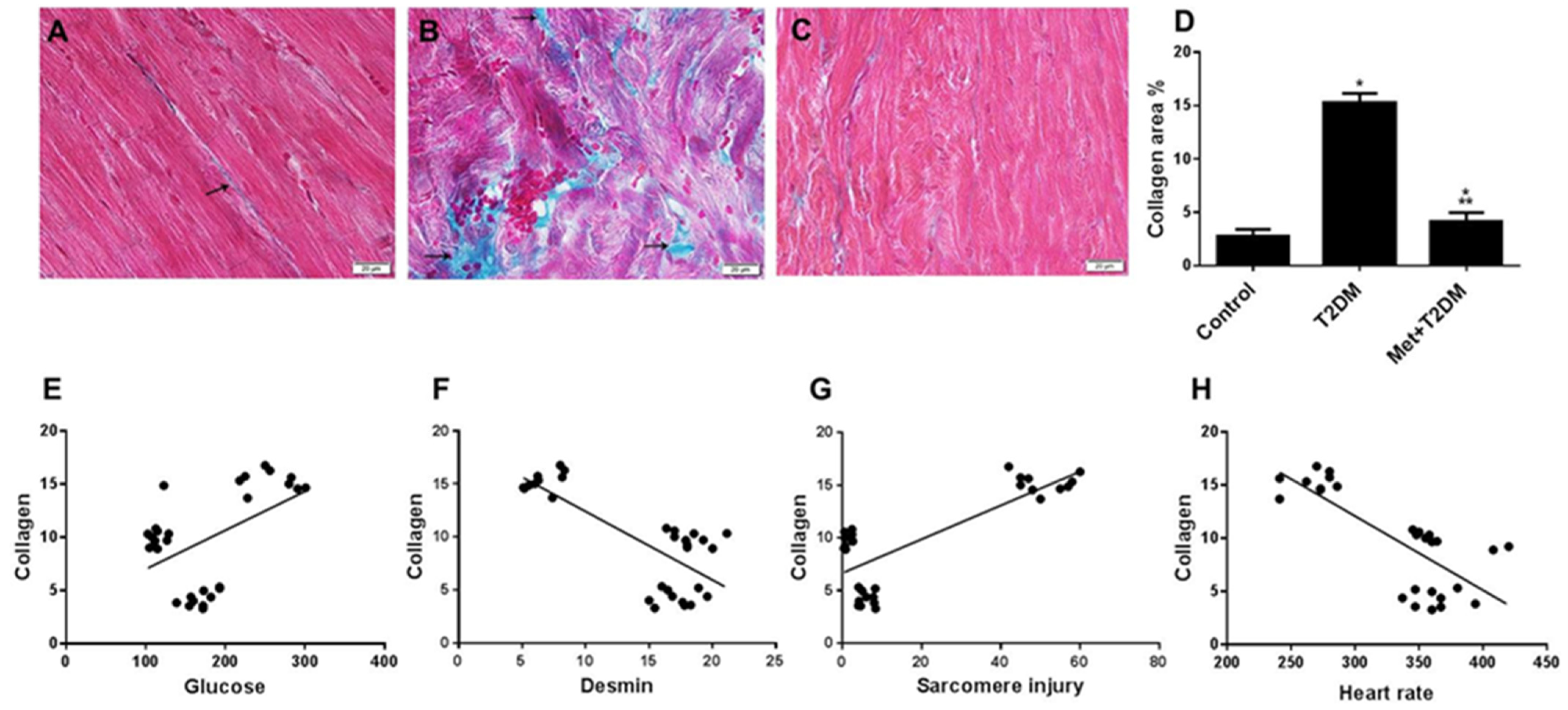 Biomedicines 10 00984 g004