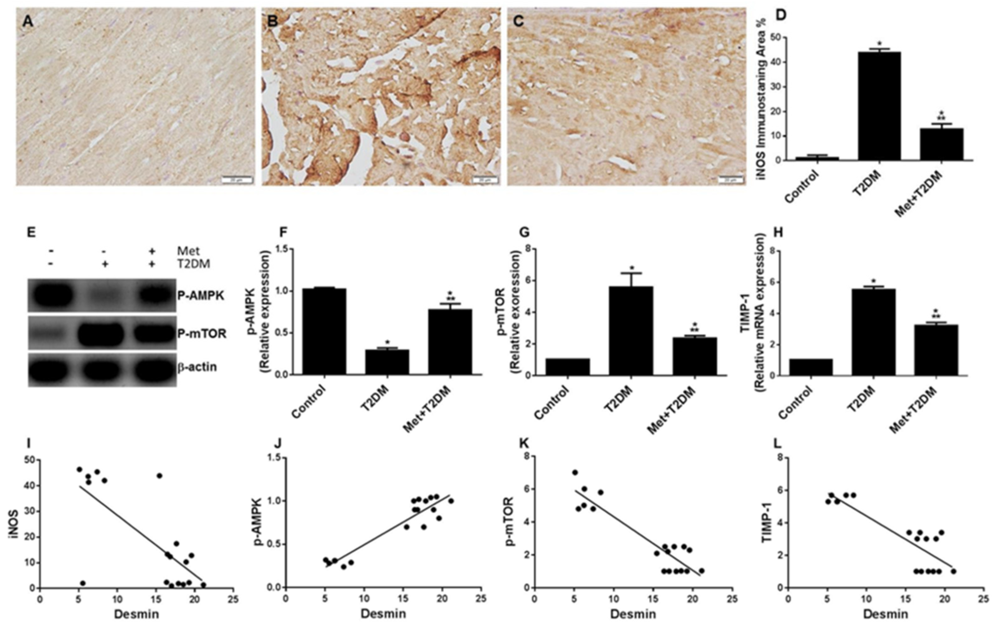 Biomedicines 10 00984 g005