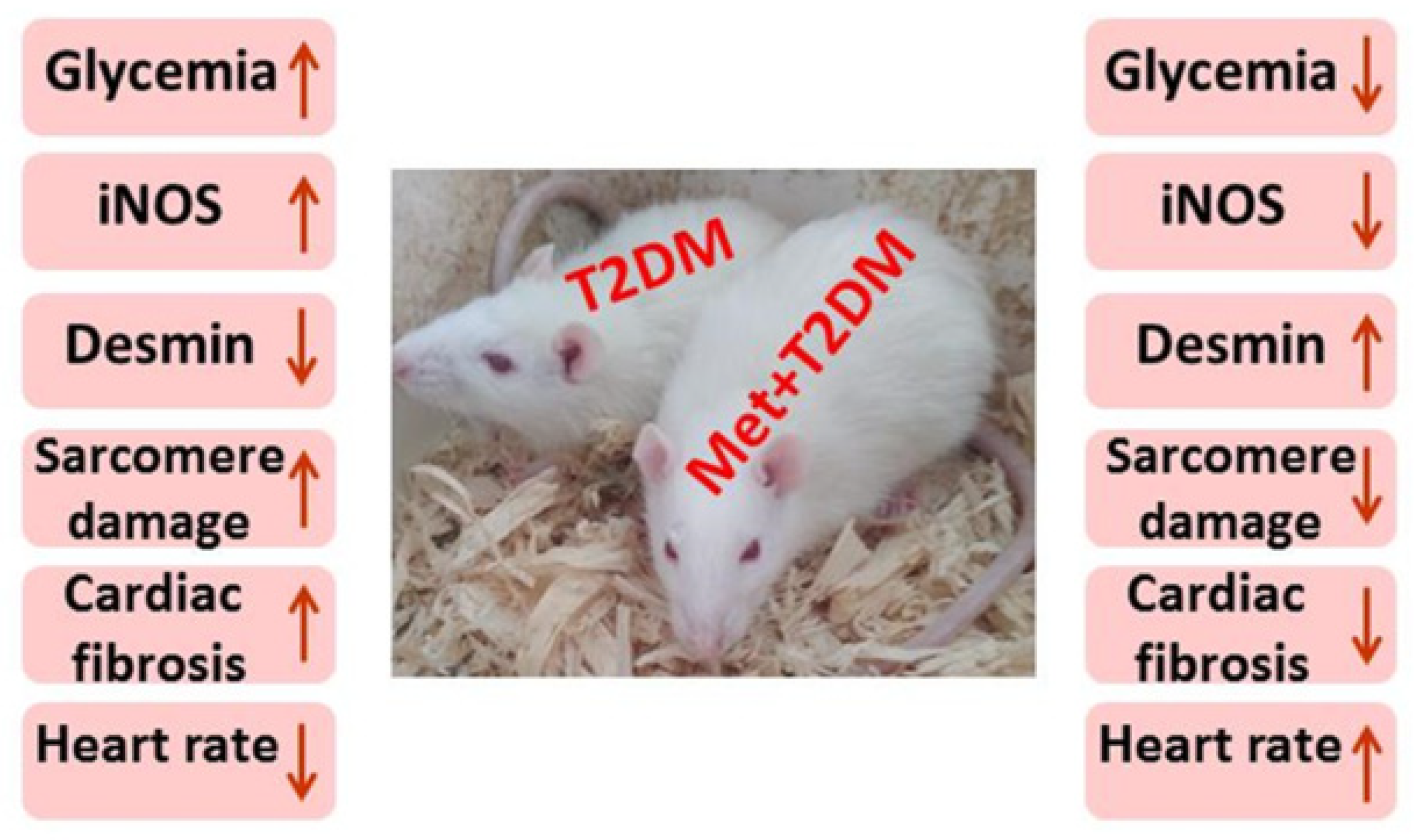 Biomedicines 10 00984 g006