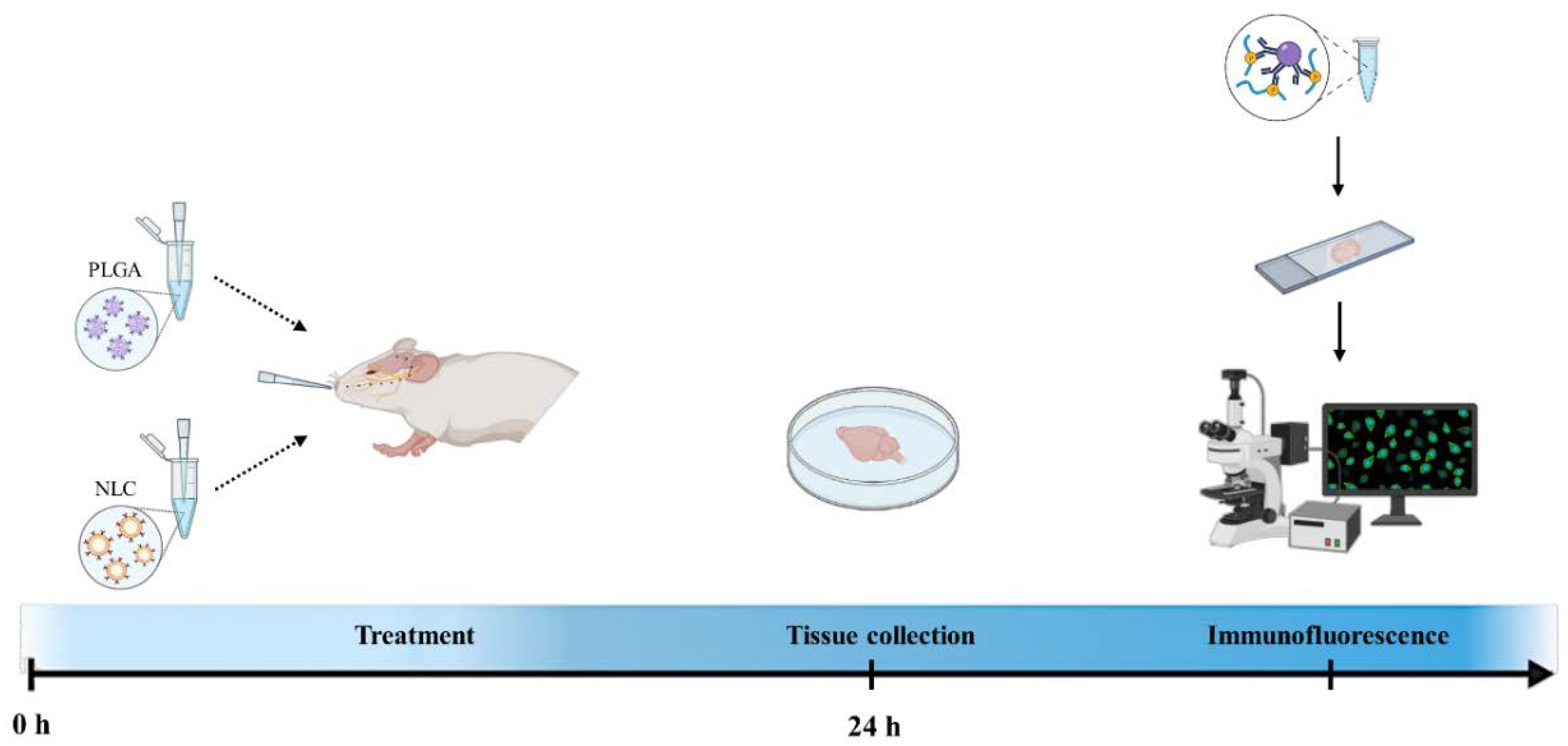 Biomedicines 10 00985 g004 Biomedicines 10 00985 g004