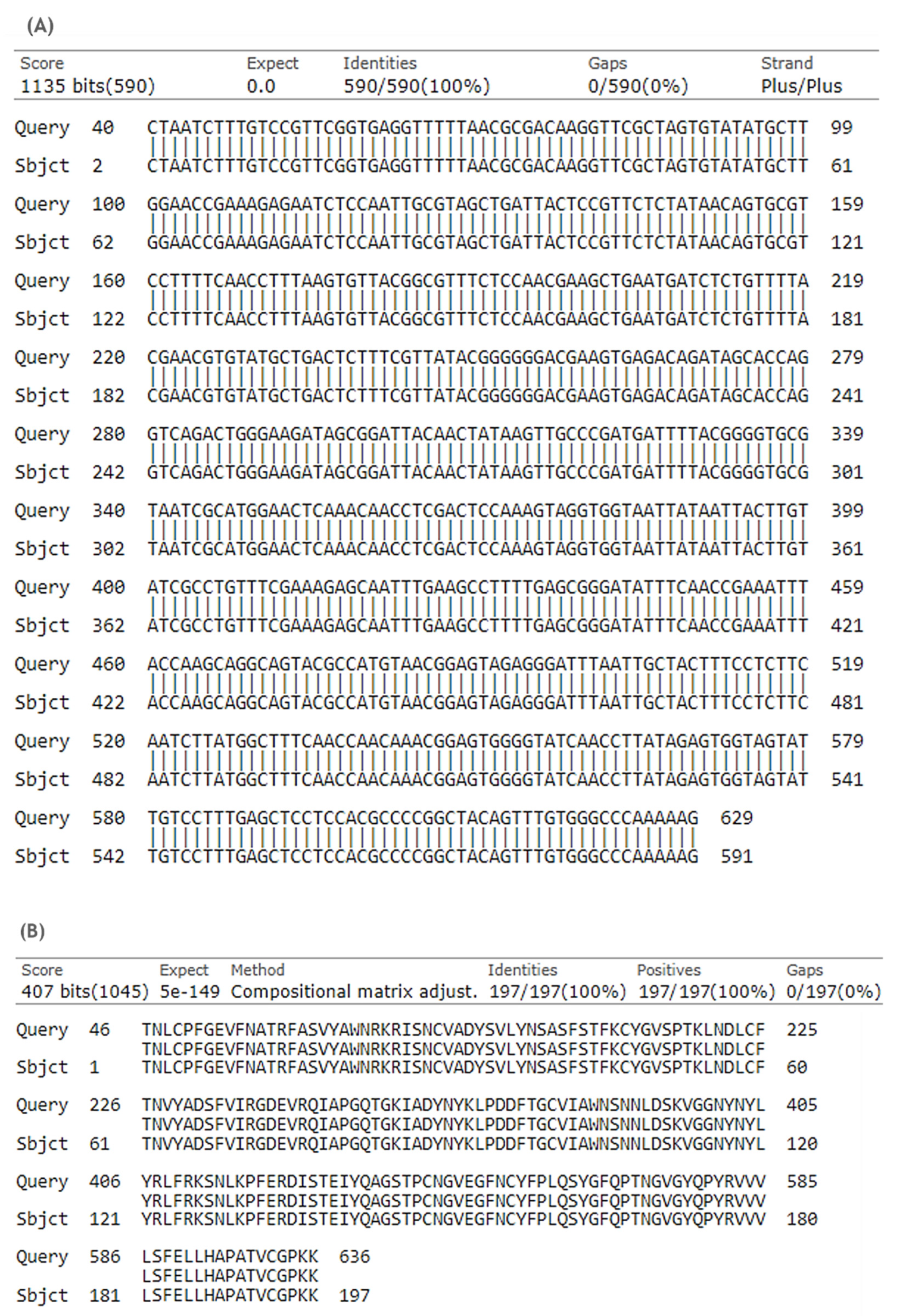Biomedicines 10 00990 g004
