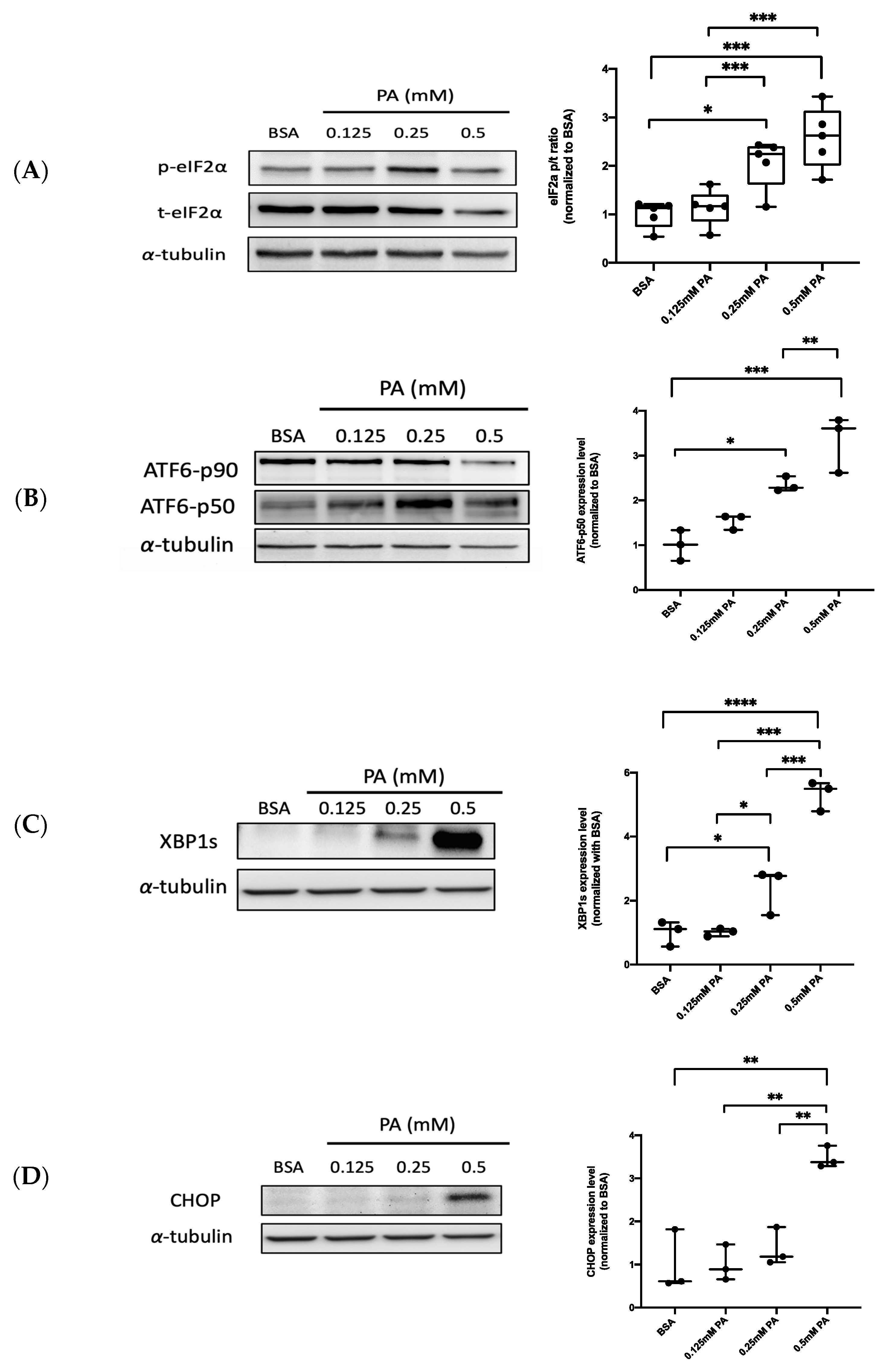 Biomedicines 10 00992 g001 Biomedicines 10 00992 g001