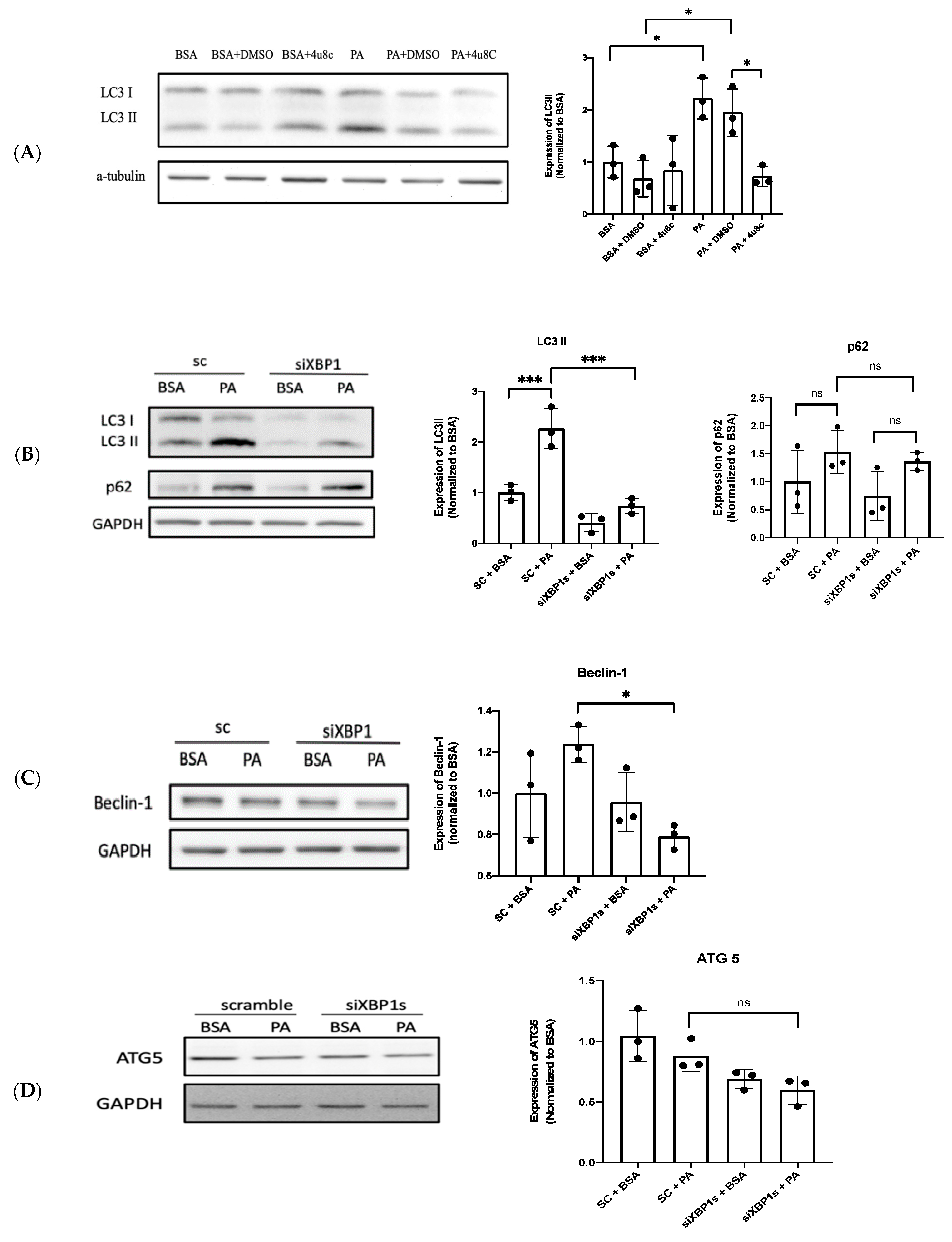 Biomedicines 10 00992 g004a Biomedicines 10 00992 g004a