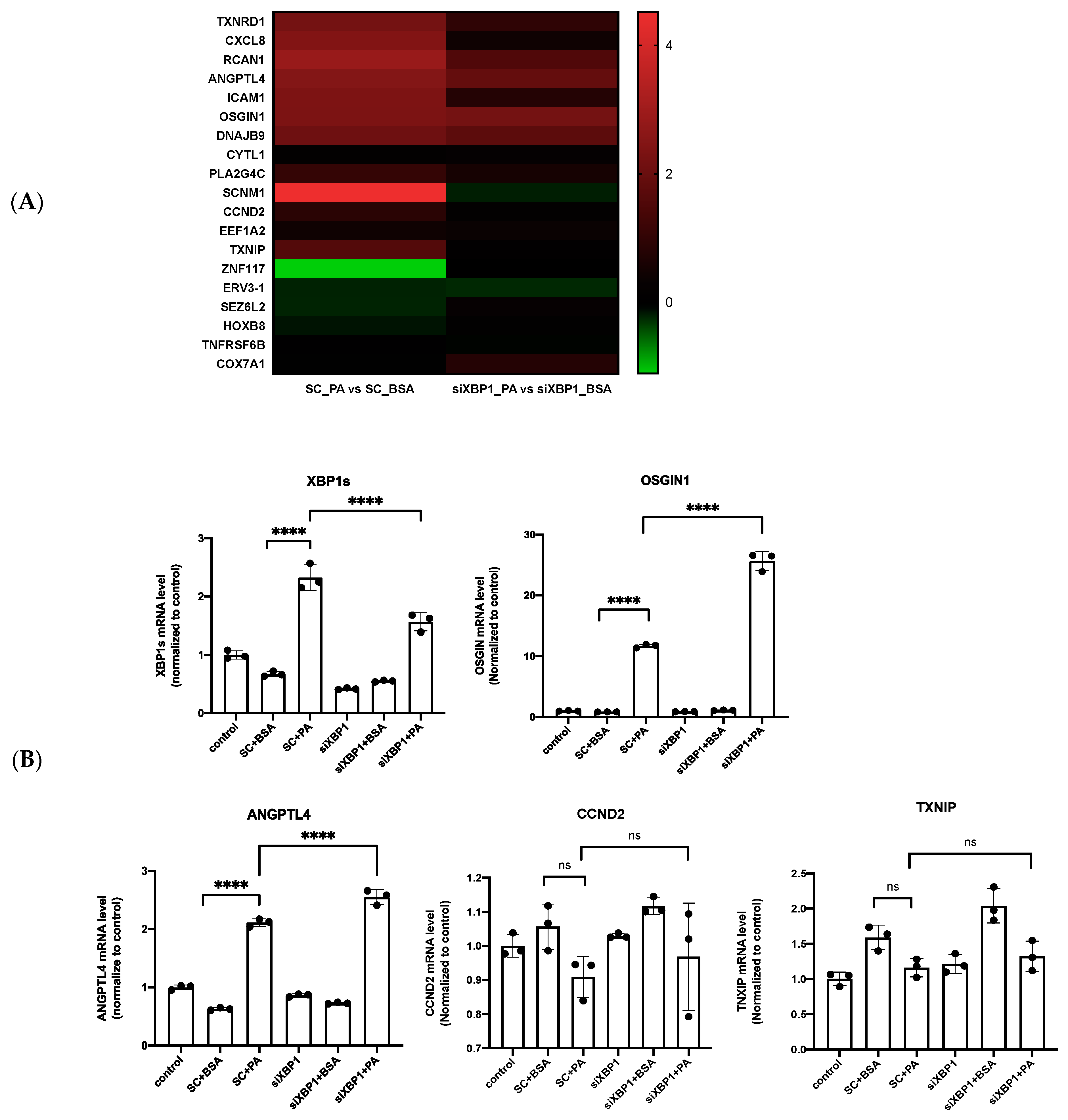 Biomedicines 10 00992 g005a Biomedicines 10 00992 g005a