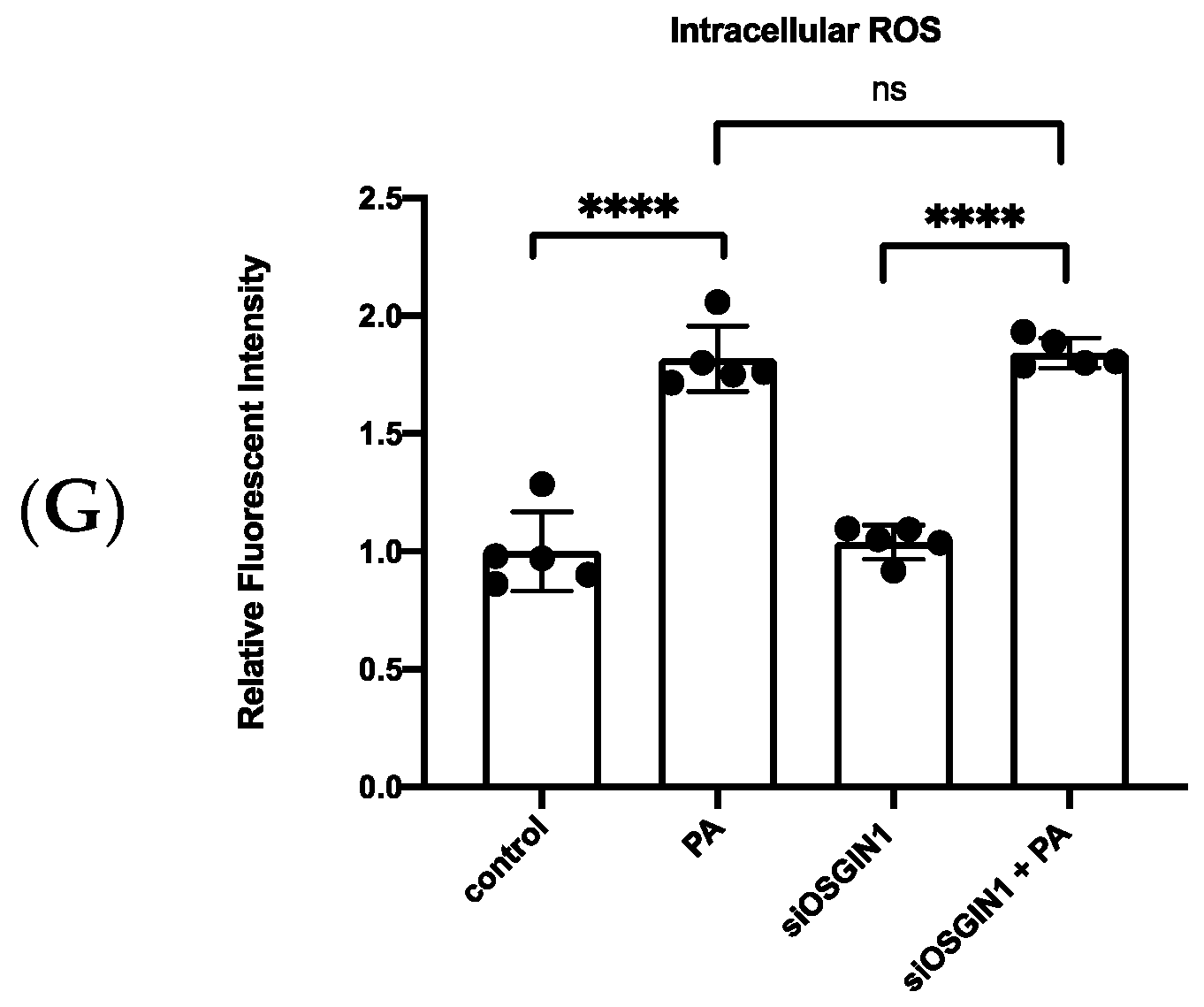 Biomedicines 10 00992 g005c Biomedicines 10 00992 g005c