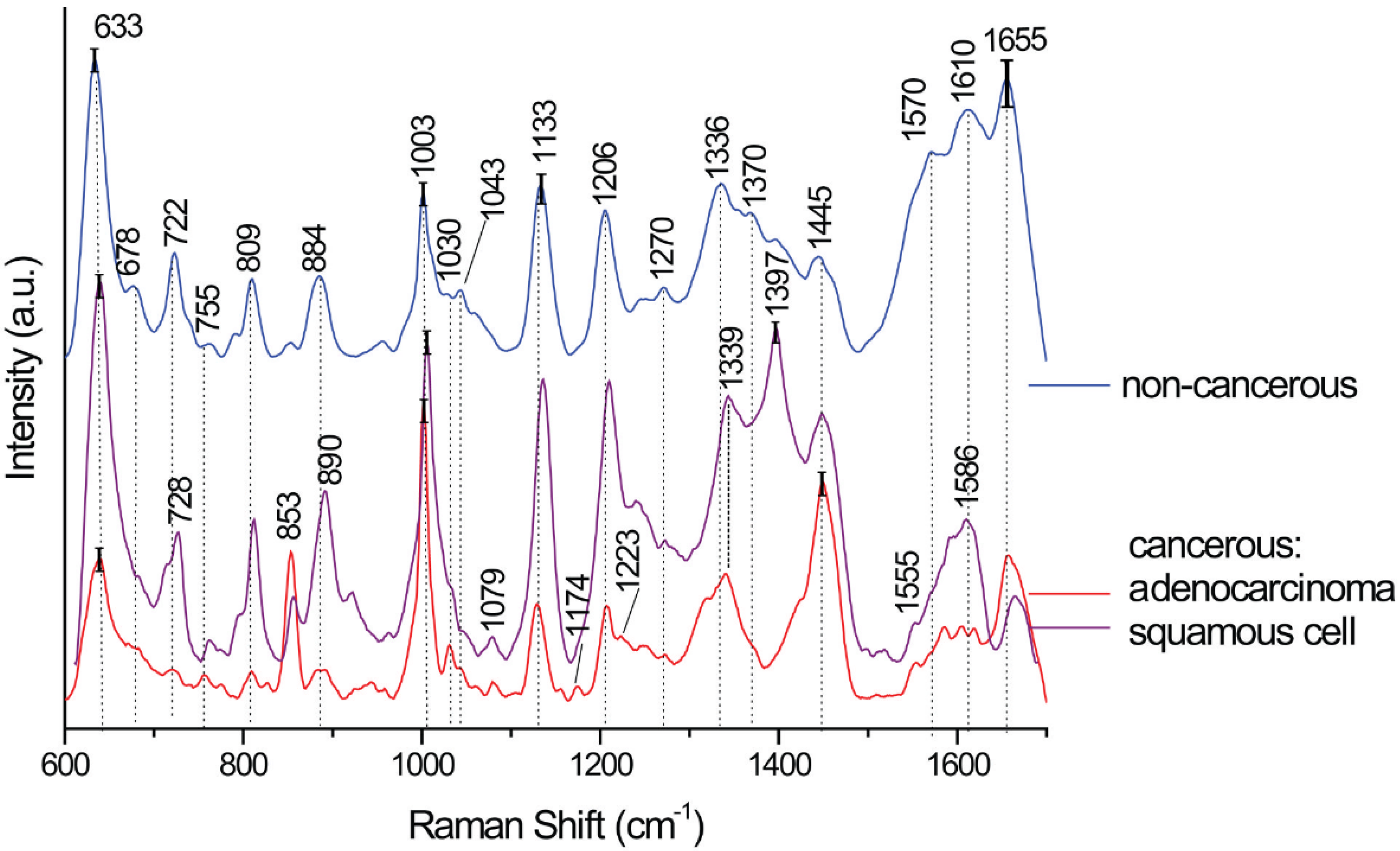 Biomedicines 10 00993 g002