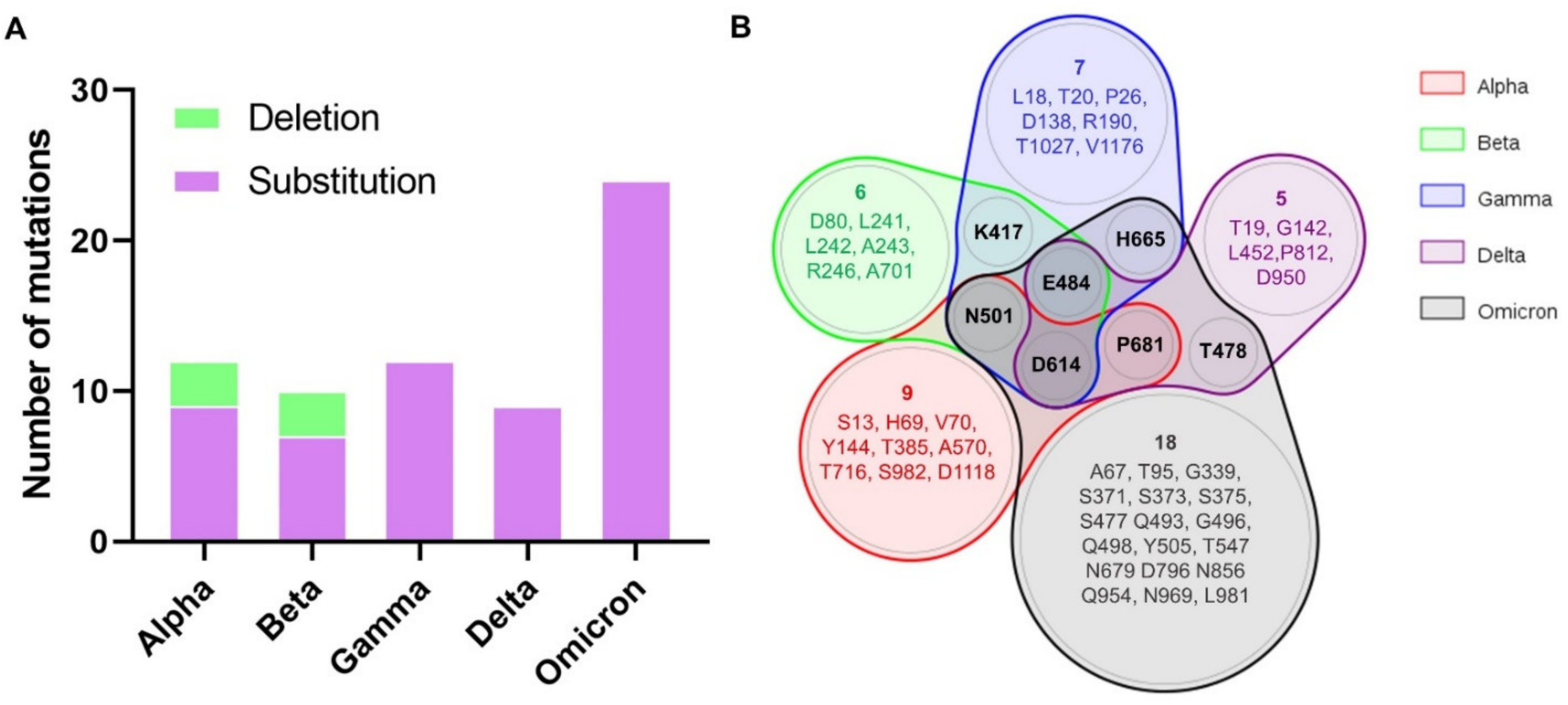 Biomedicines 10 00996 g001 550