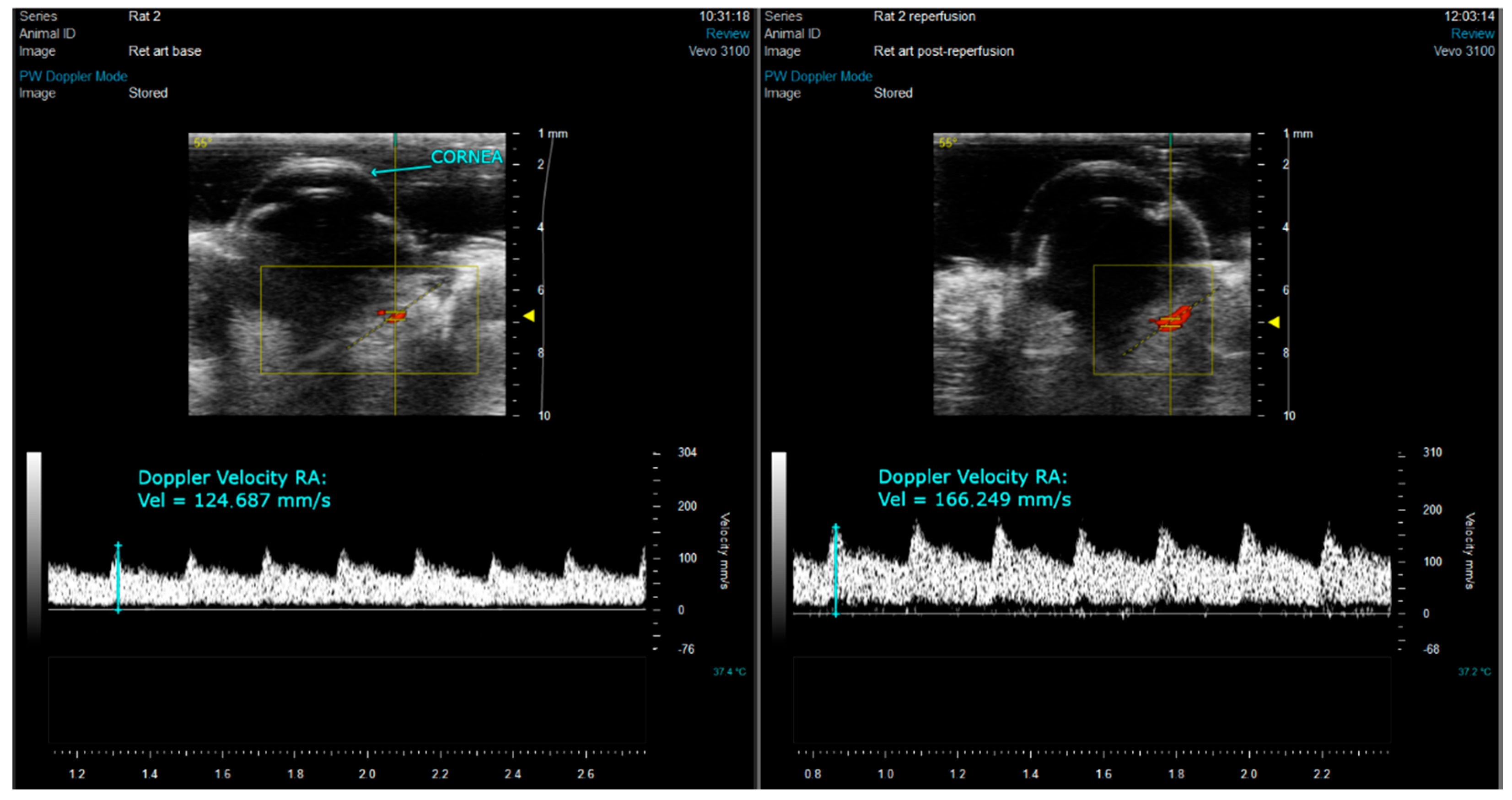 Biomedicines 10 00997 g001 550