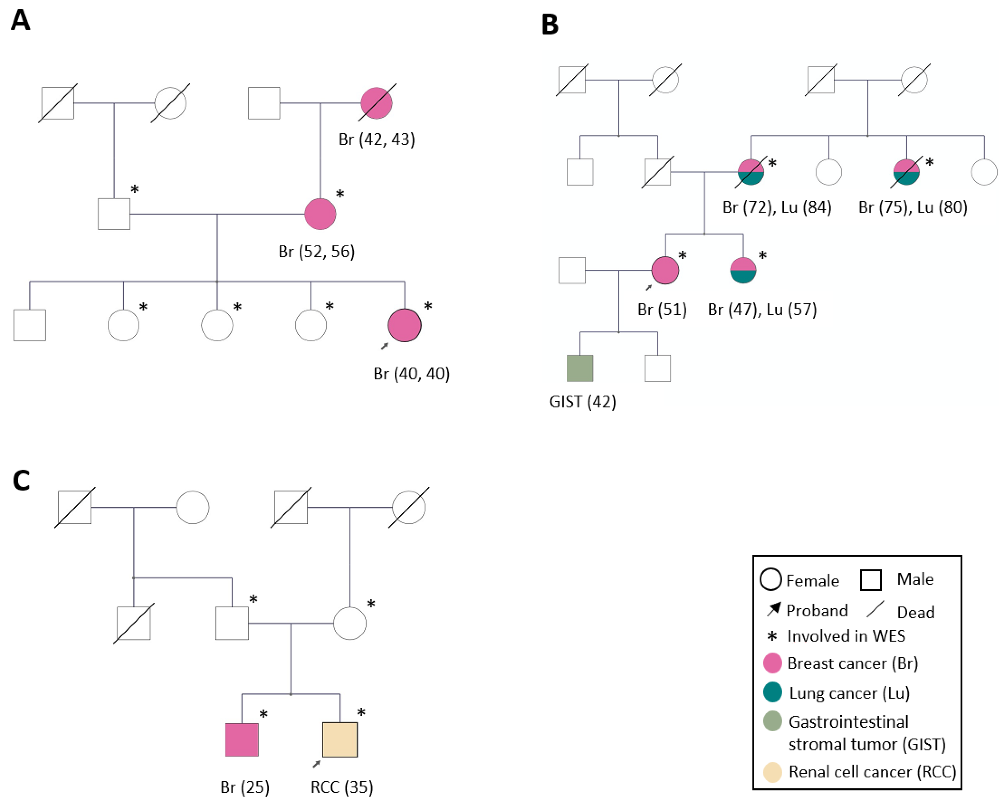 Biomedicines 10 01004 g001 550