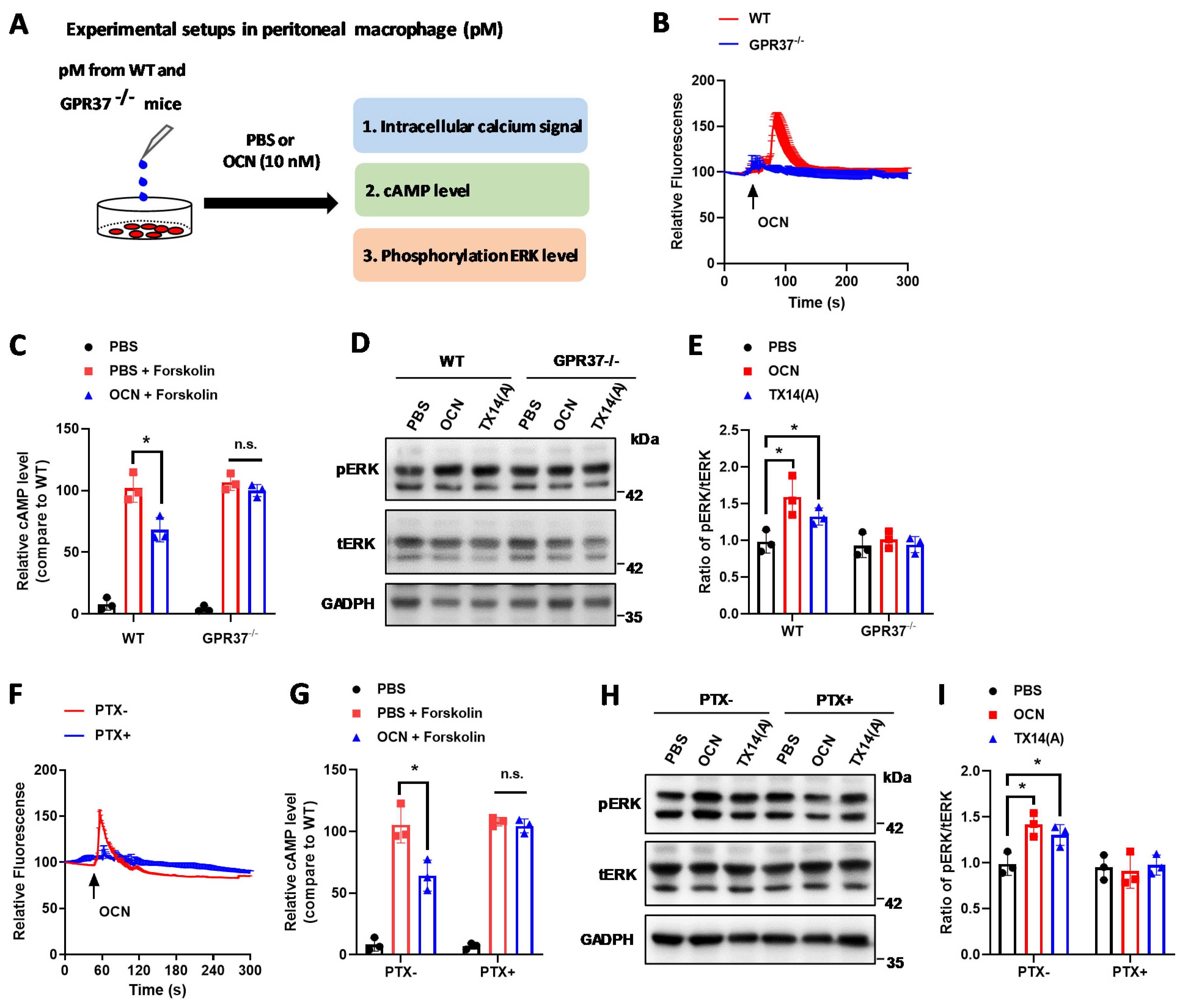 Biomedicines 10 01006 g003