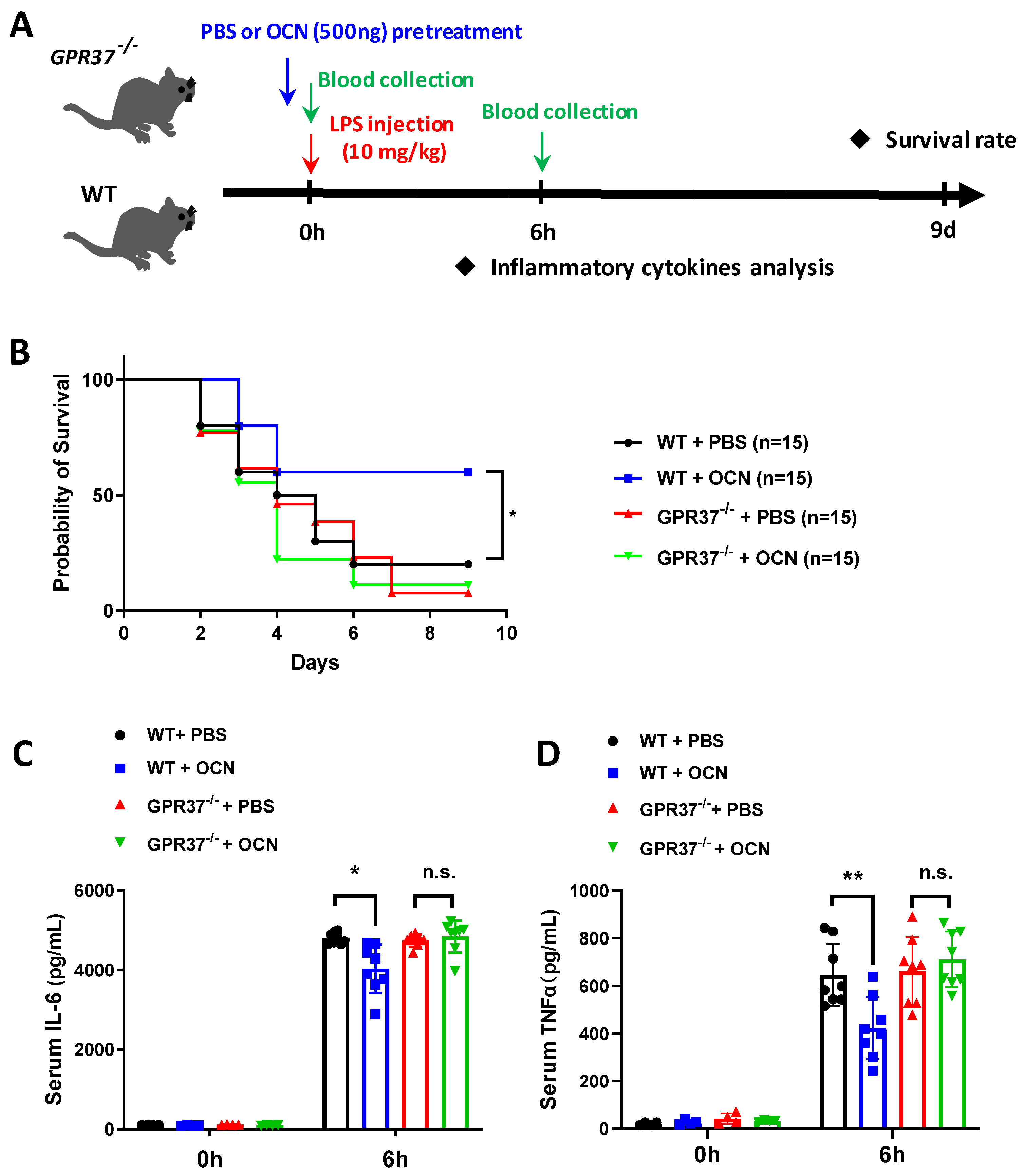 Biomedicines 10 01006 g006