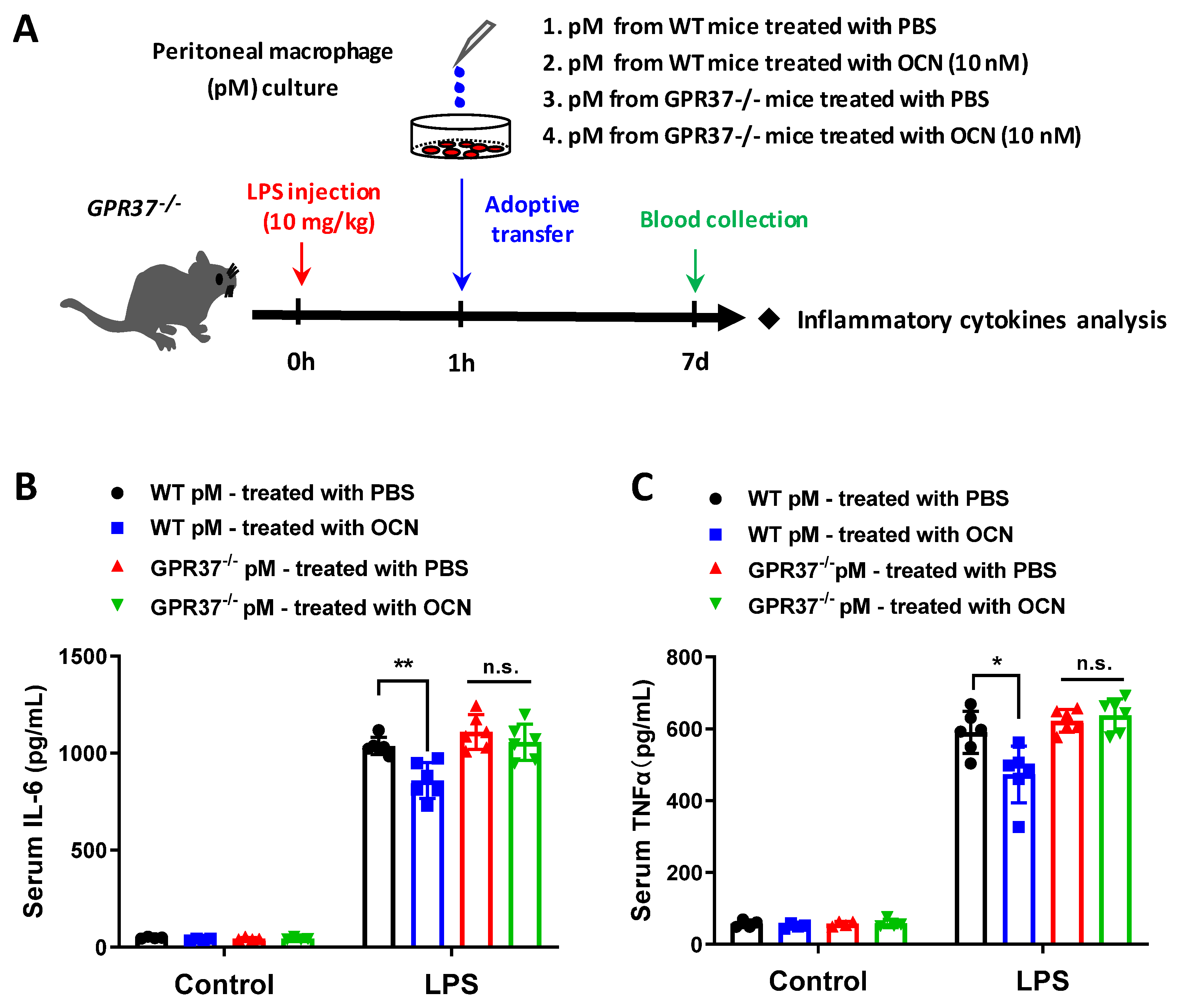 Biomedicines 10 01006 g007