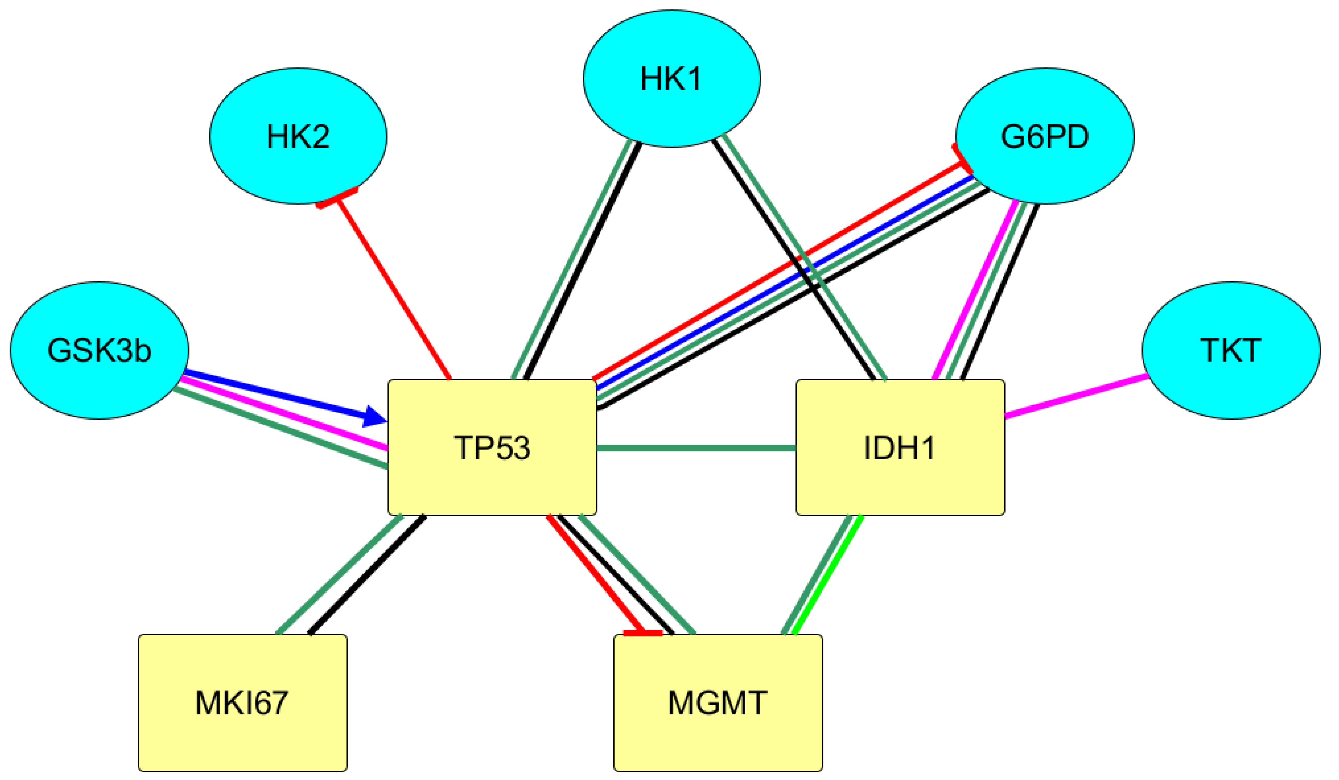 Biomedicines 10 01007 g002a Biomedicines 10 01007 g002a