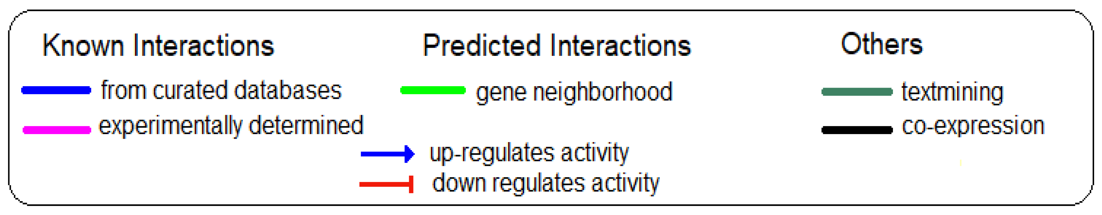 Biomedicines 10 01007 g002b Biomedicines 10 01007 g002b