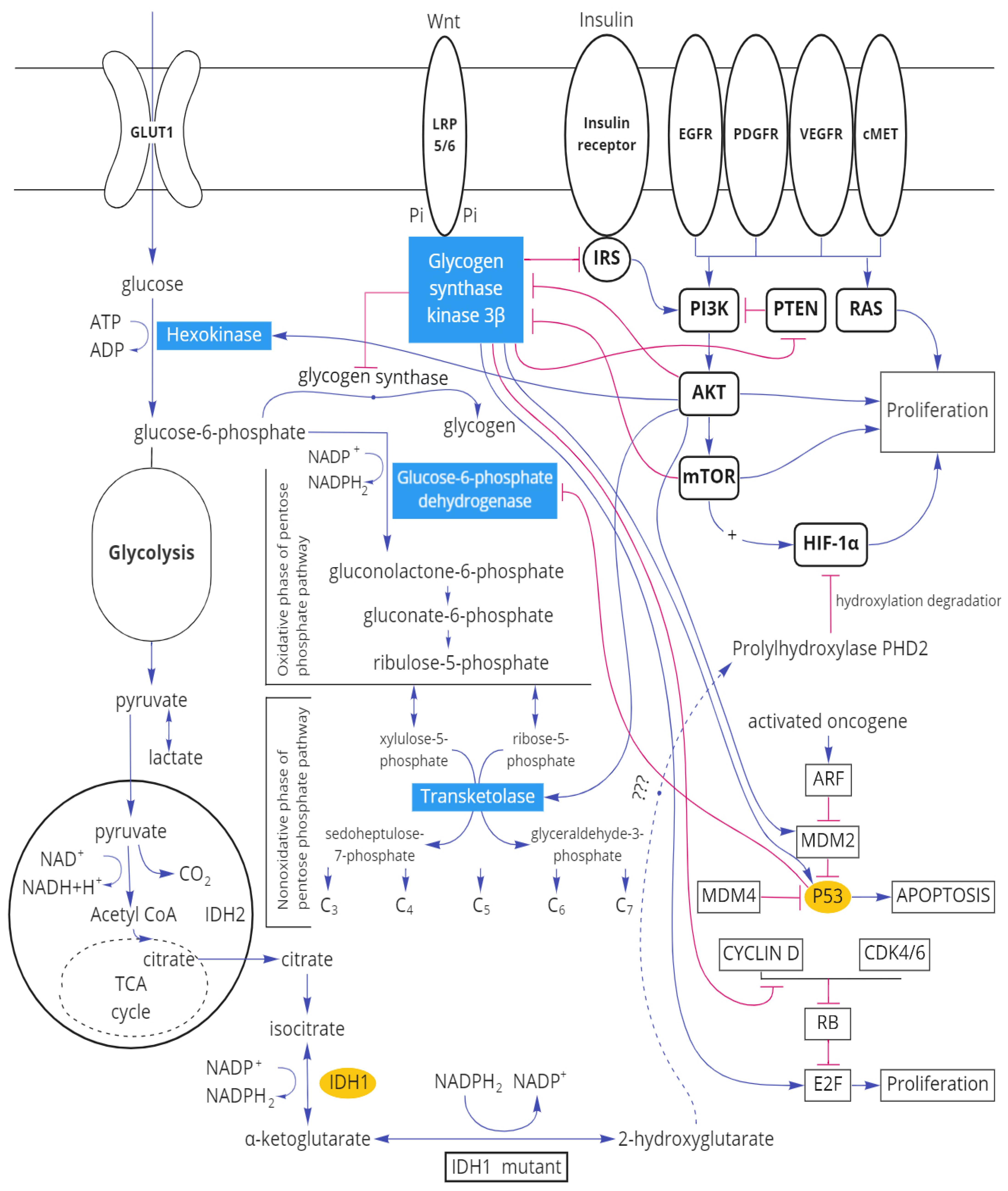 Biomedicines 10 01007 g009 Biomedicines 10 01007 g009