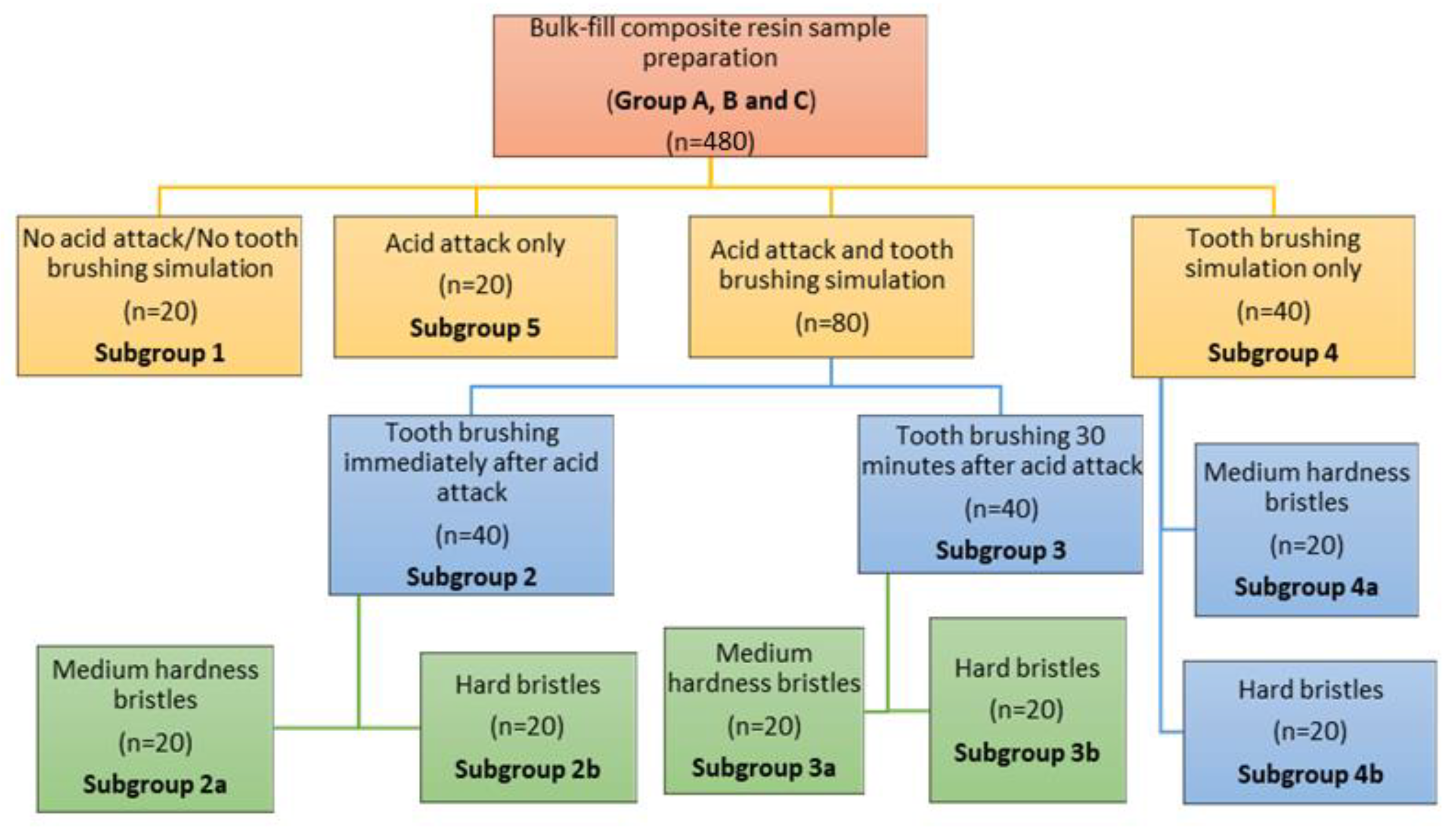 Biomedicines 10 01008 g001