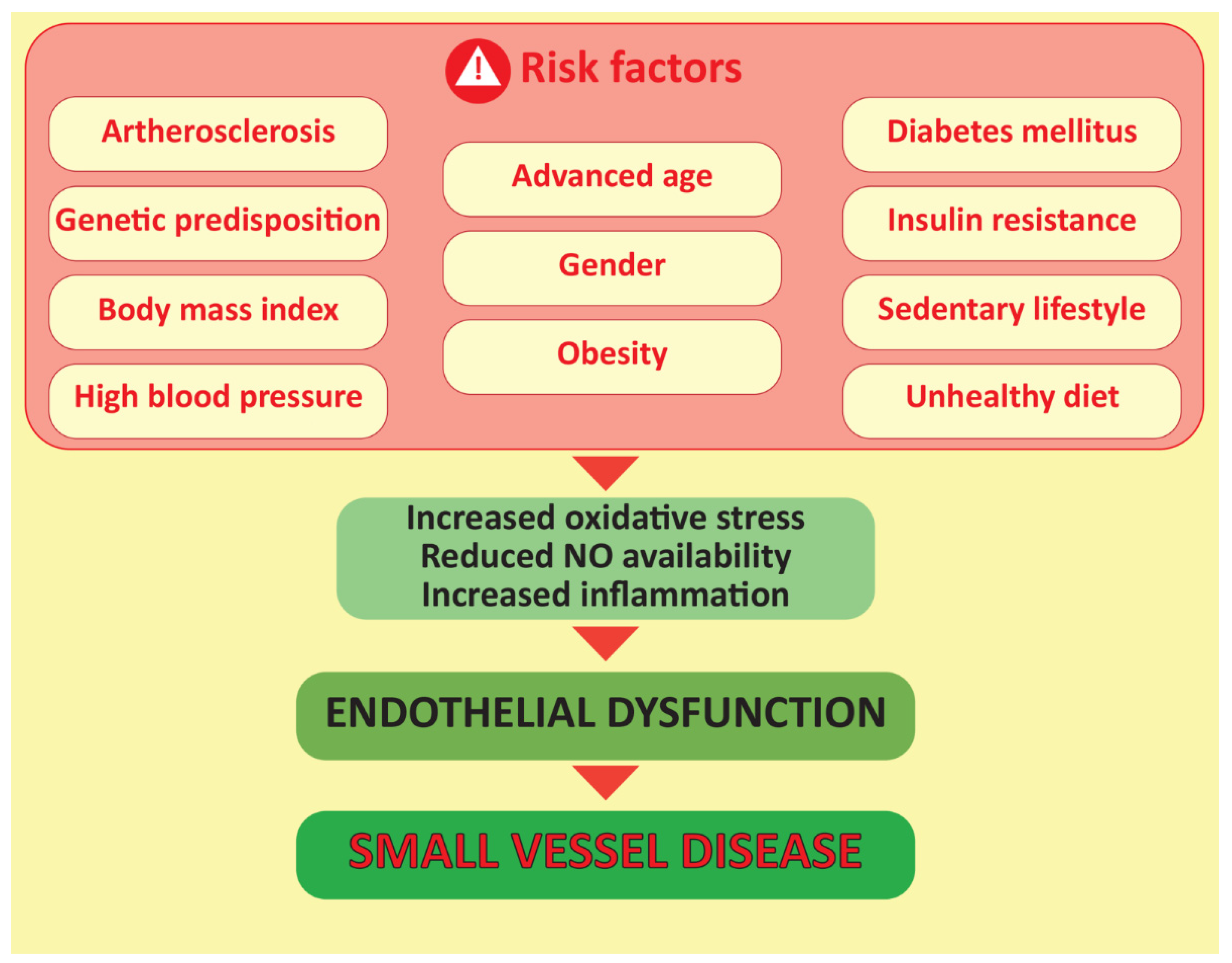 Biomedicines 10 01009 g001
