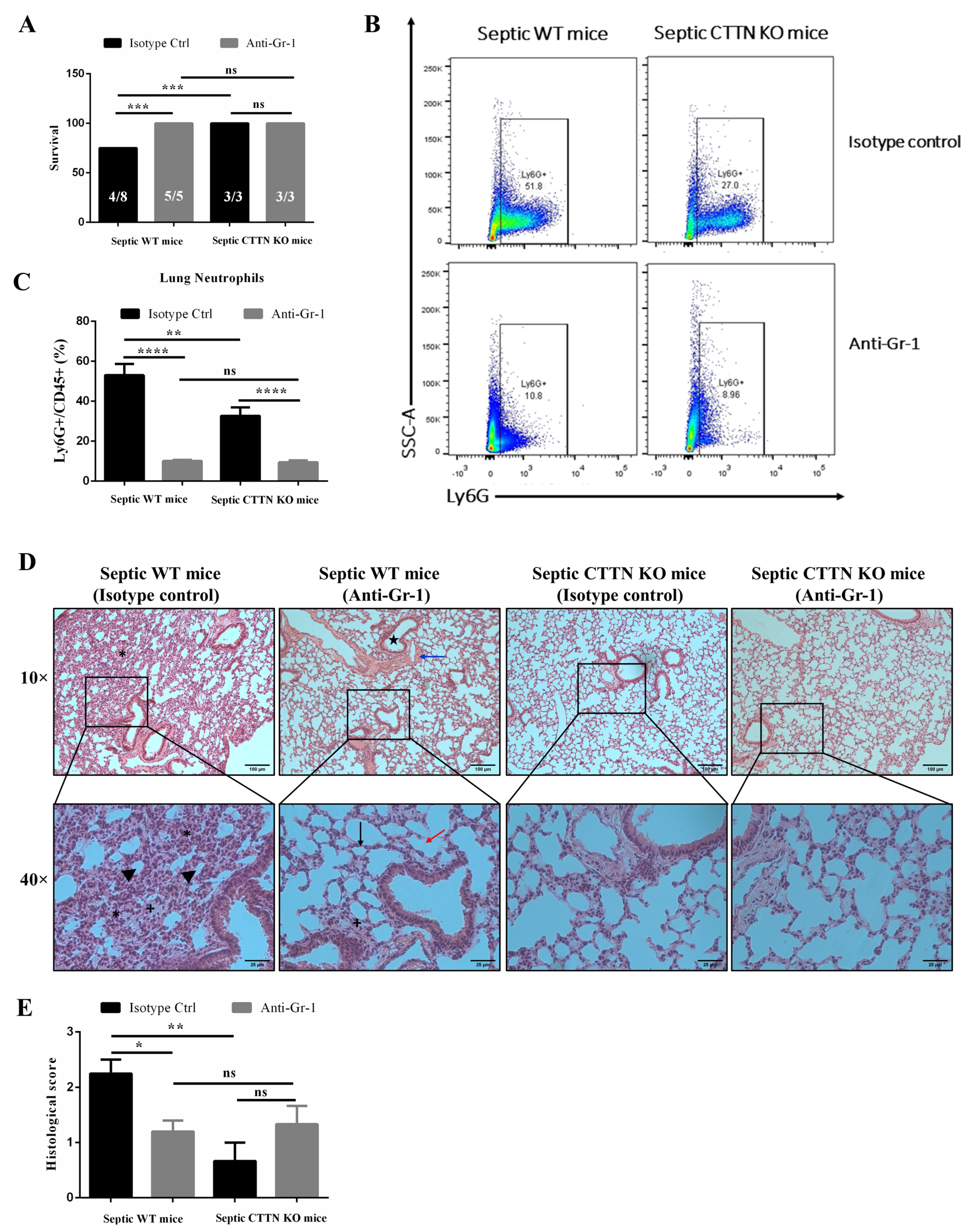 Biomedicines 10 01019 g008