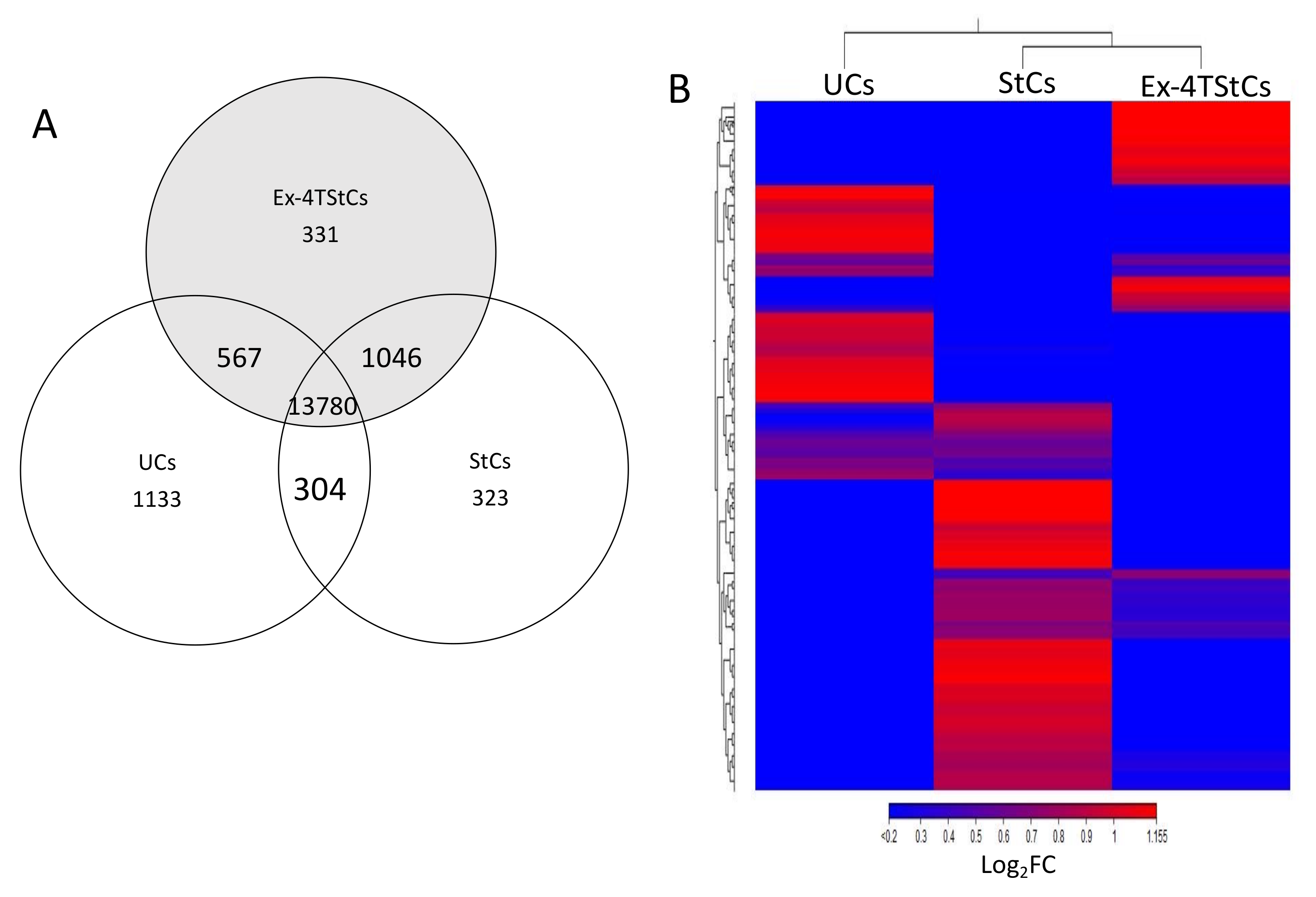 Biomedicines 10 01020 g001