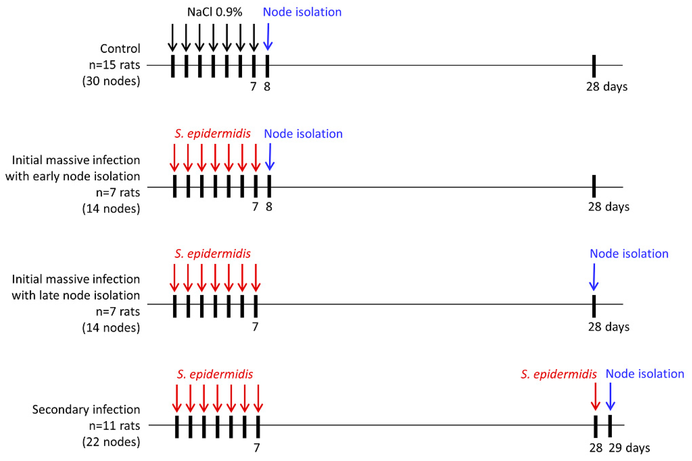 Biomedicines 10 01021 g001 Biomedicines 10 01021 g001