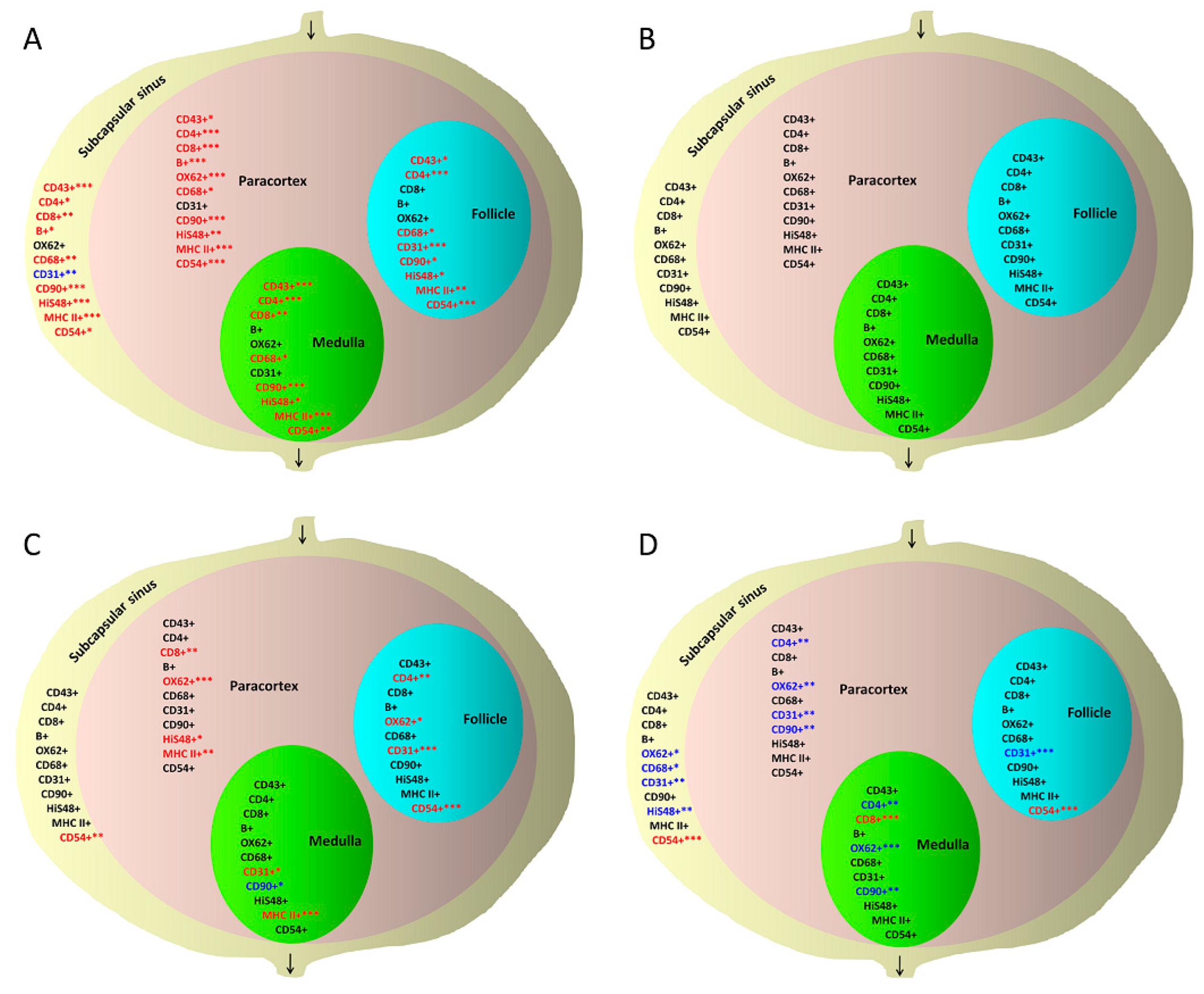 Biomedicines 10 01021 g004 Biomedicines 10 01021 g004