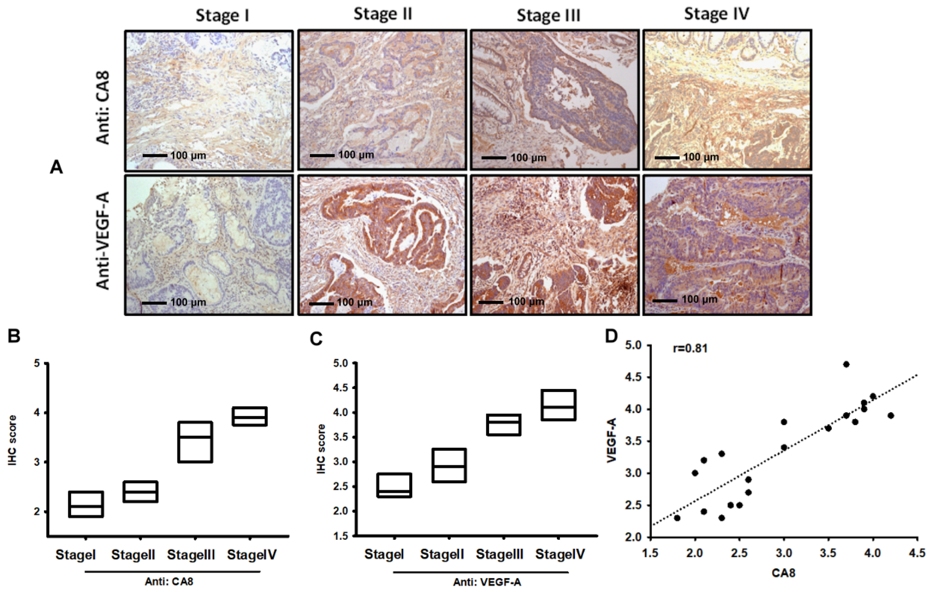 Biomedicines 10 01030 g001