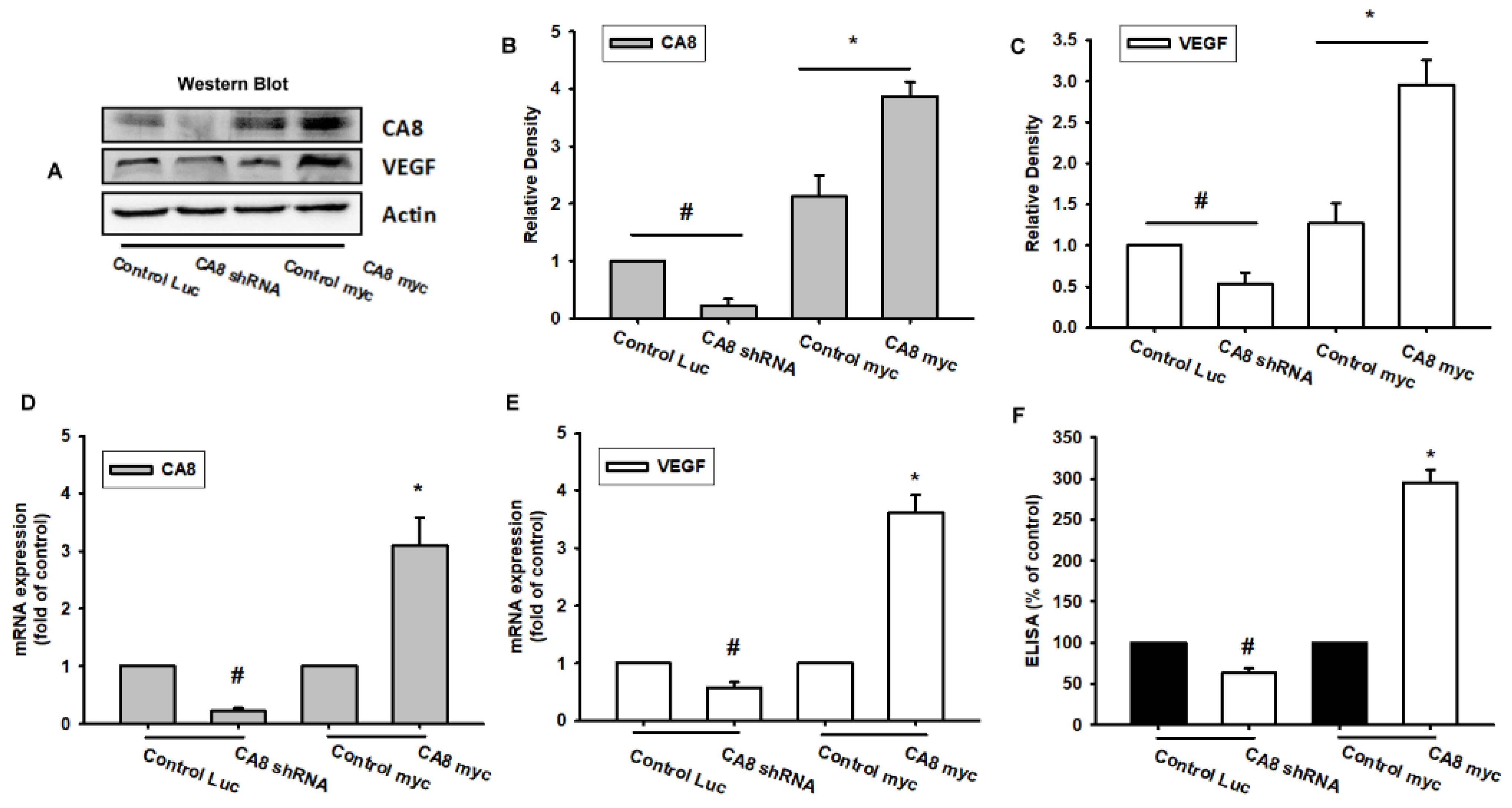 Biomedicines 10 01030 g002
