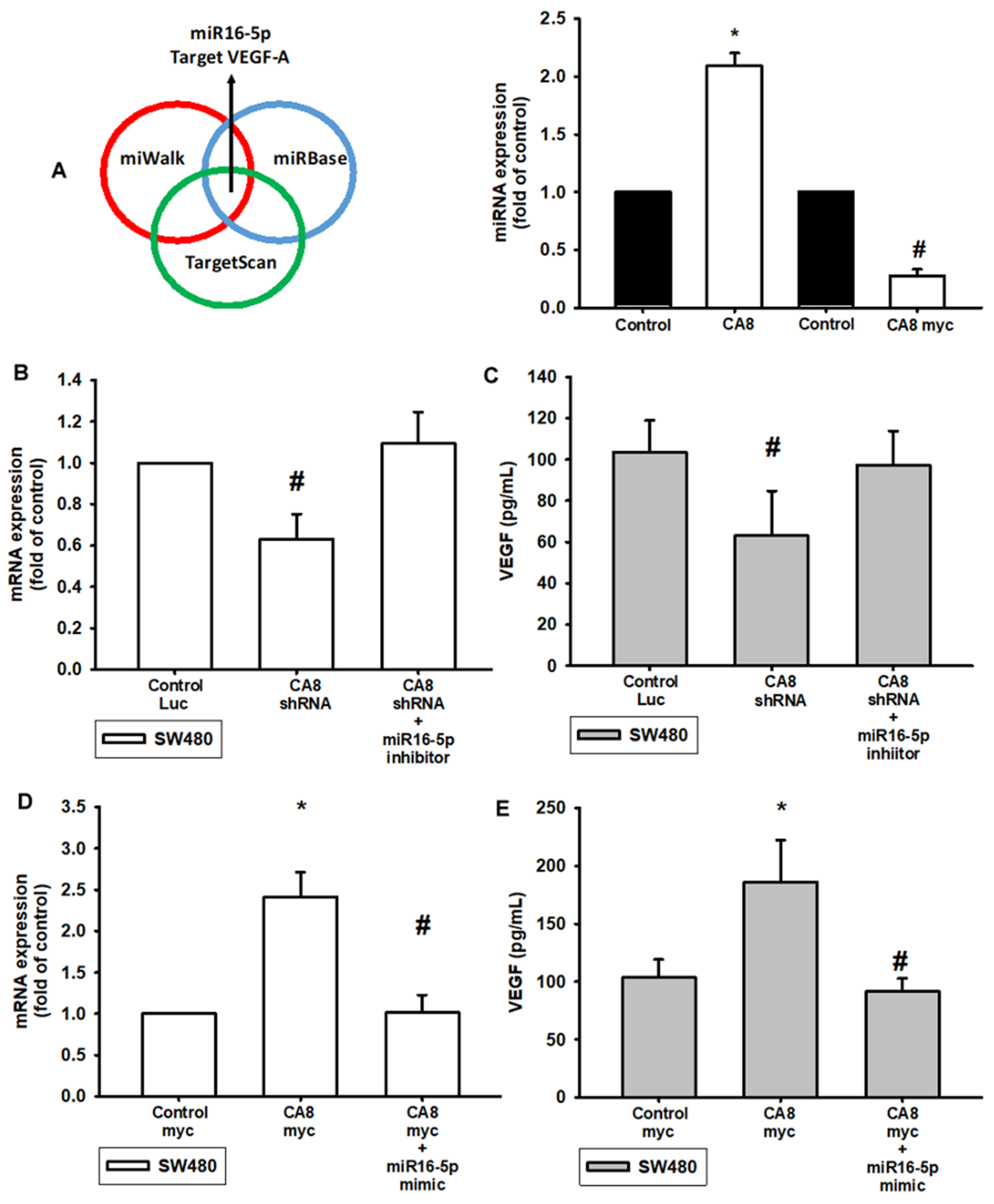 Biomedicines 10 01030 g003