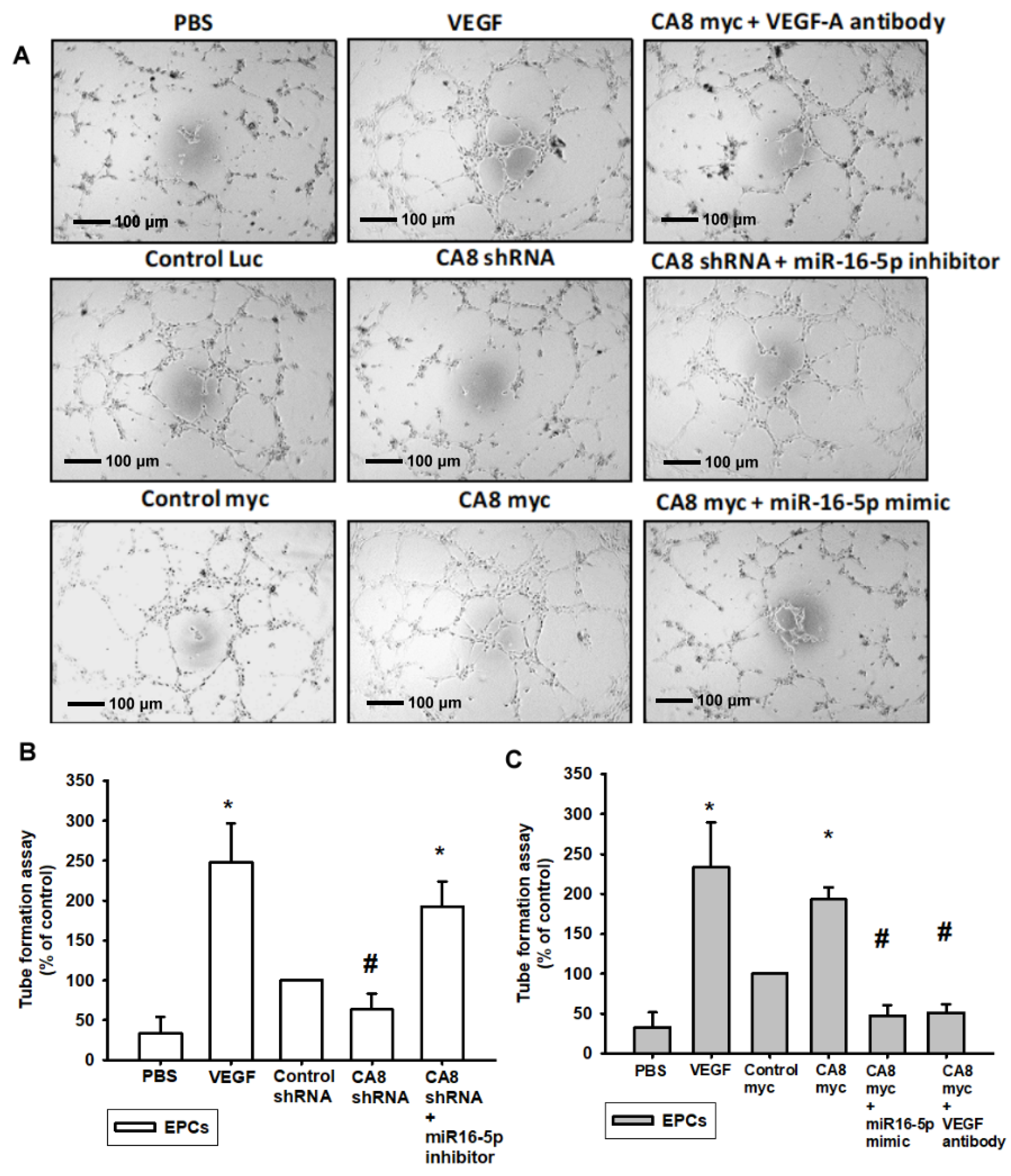 Biomedicines 10 01030 g005