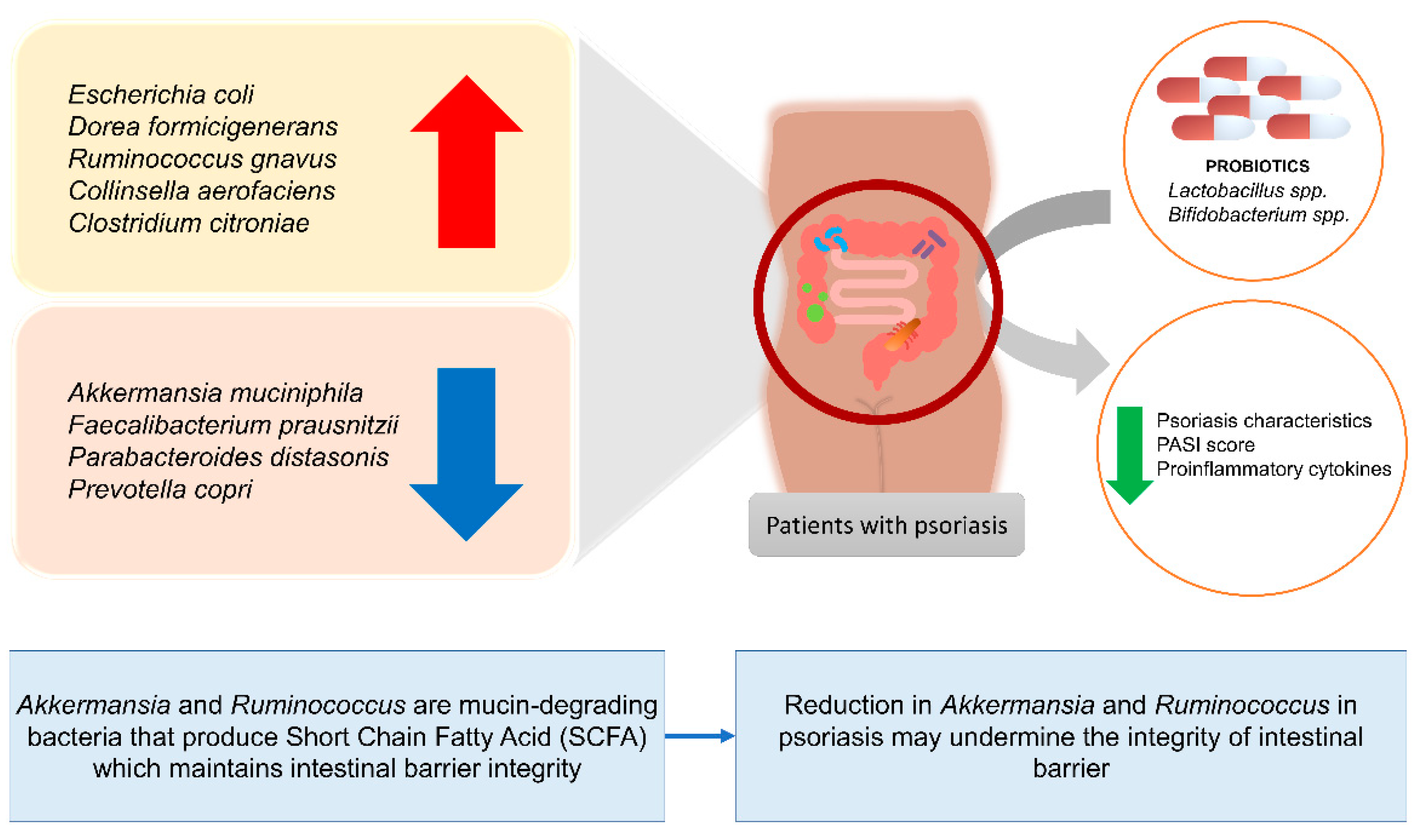 Biomedicines 10 01037 g002 Biomedicines 10 01037 g002